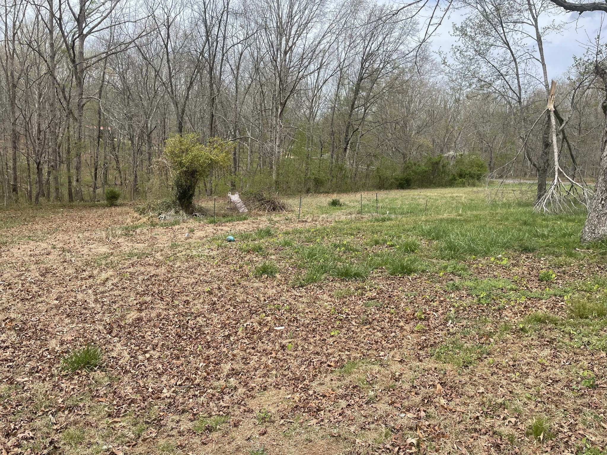 Highway 20 , Summertown, TN 38483