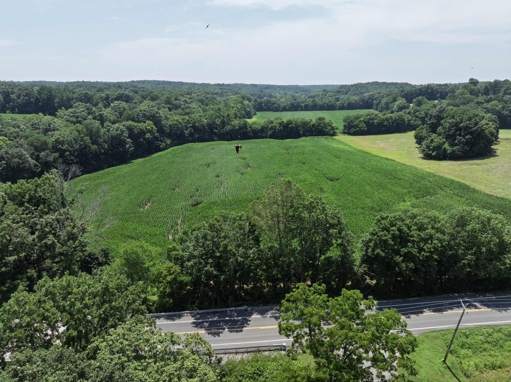 Highway 48 , Cumberland Furnace, TN 37051