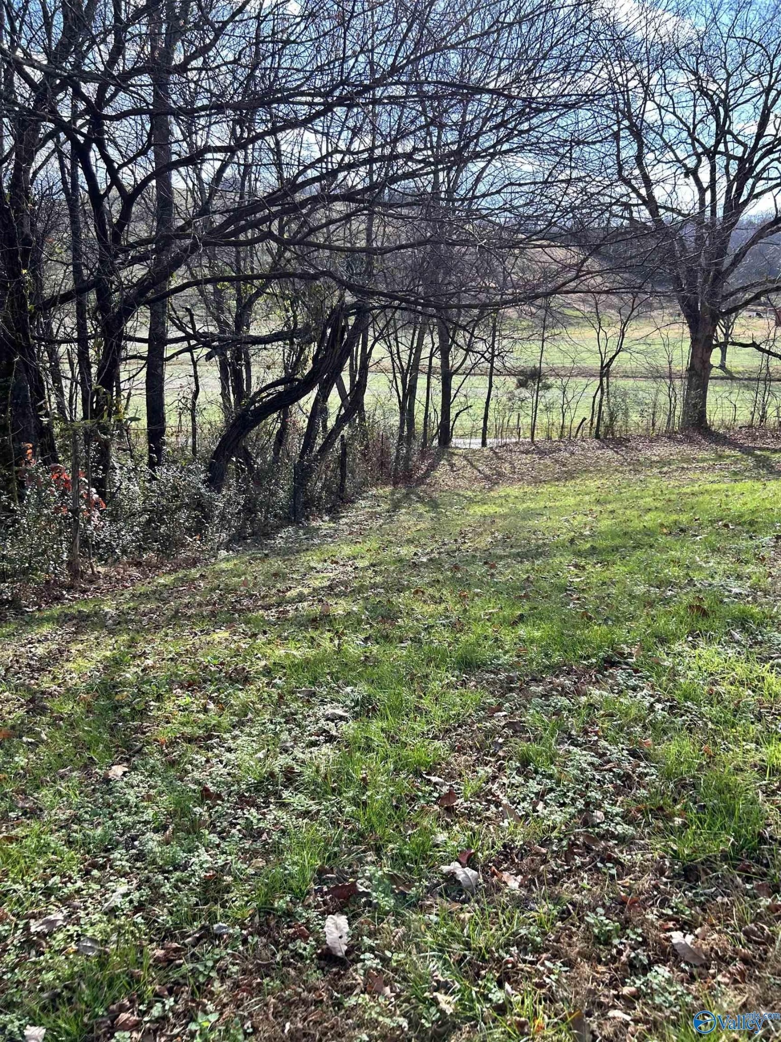 Beech Hill Rd, Pulaski, TN 38478