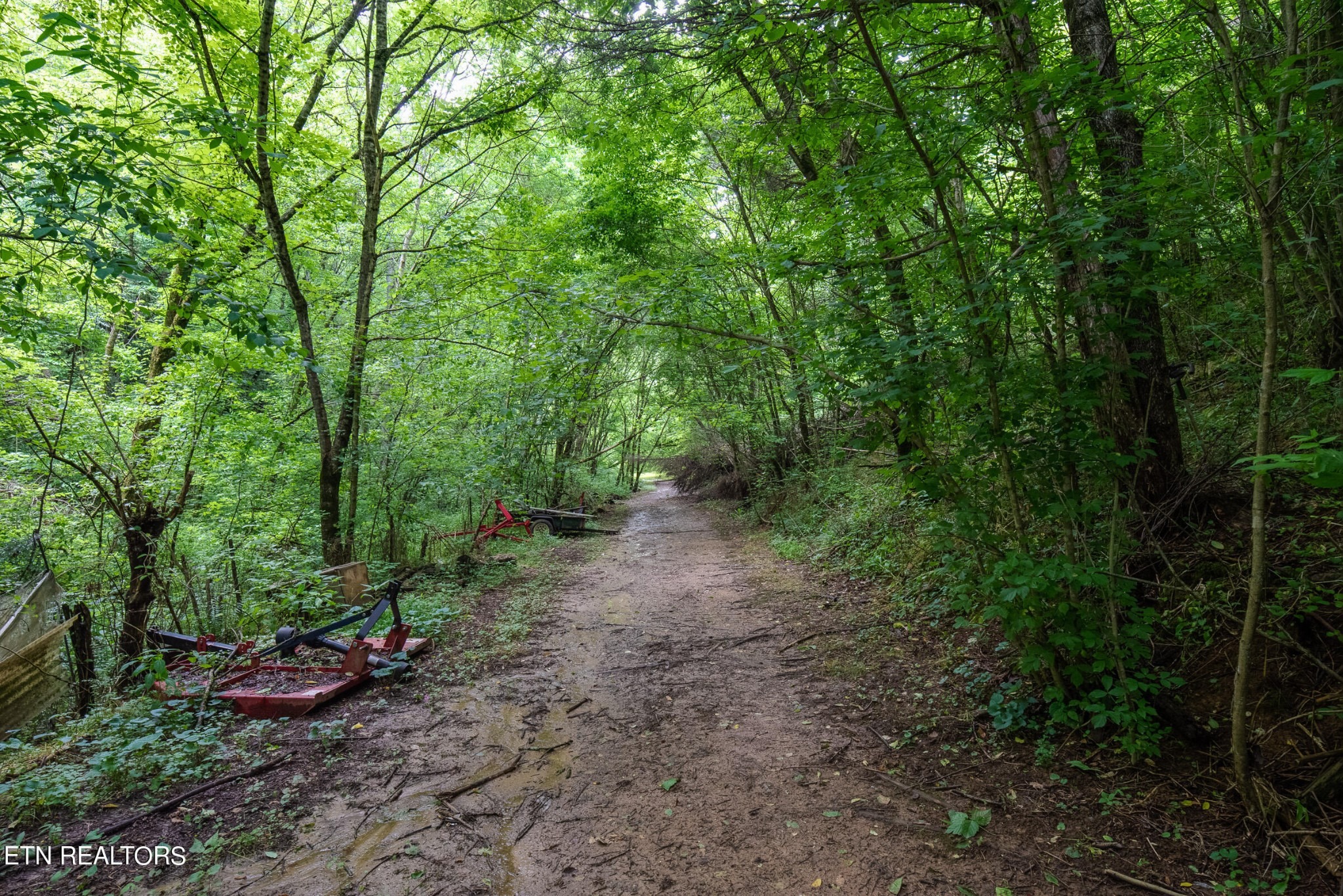 Lane Hollow Rd, Sevierville, TN 37876