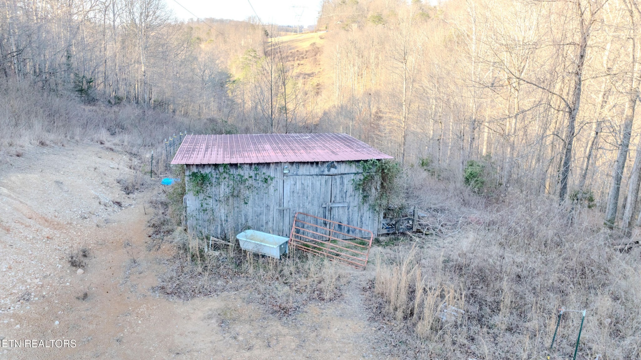 Huckleberry Ln, Rocky Top, TN 37769 #1