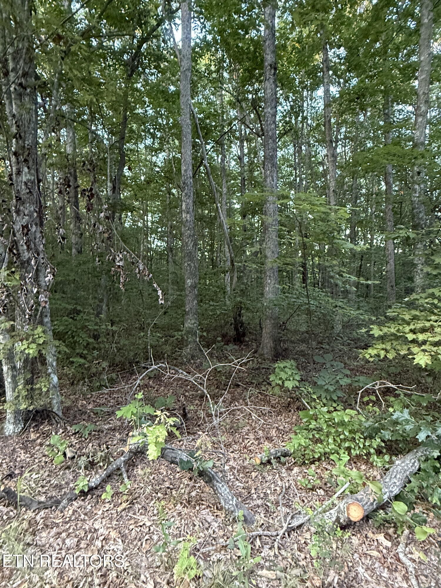 Clyde Pl, Monterey, TN 38574