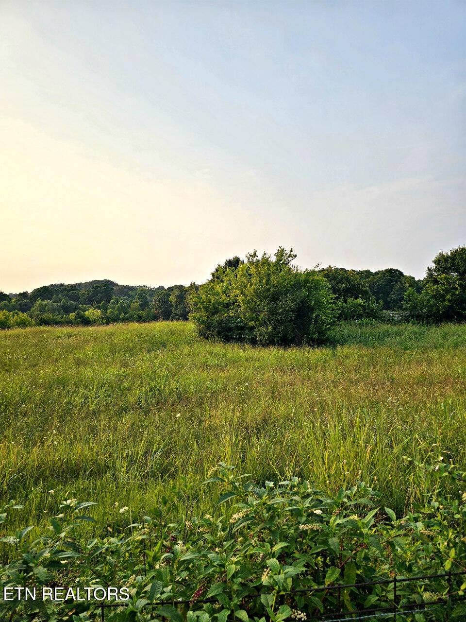 Wells Spring Rd, Dandridge, TN 37725
