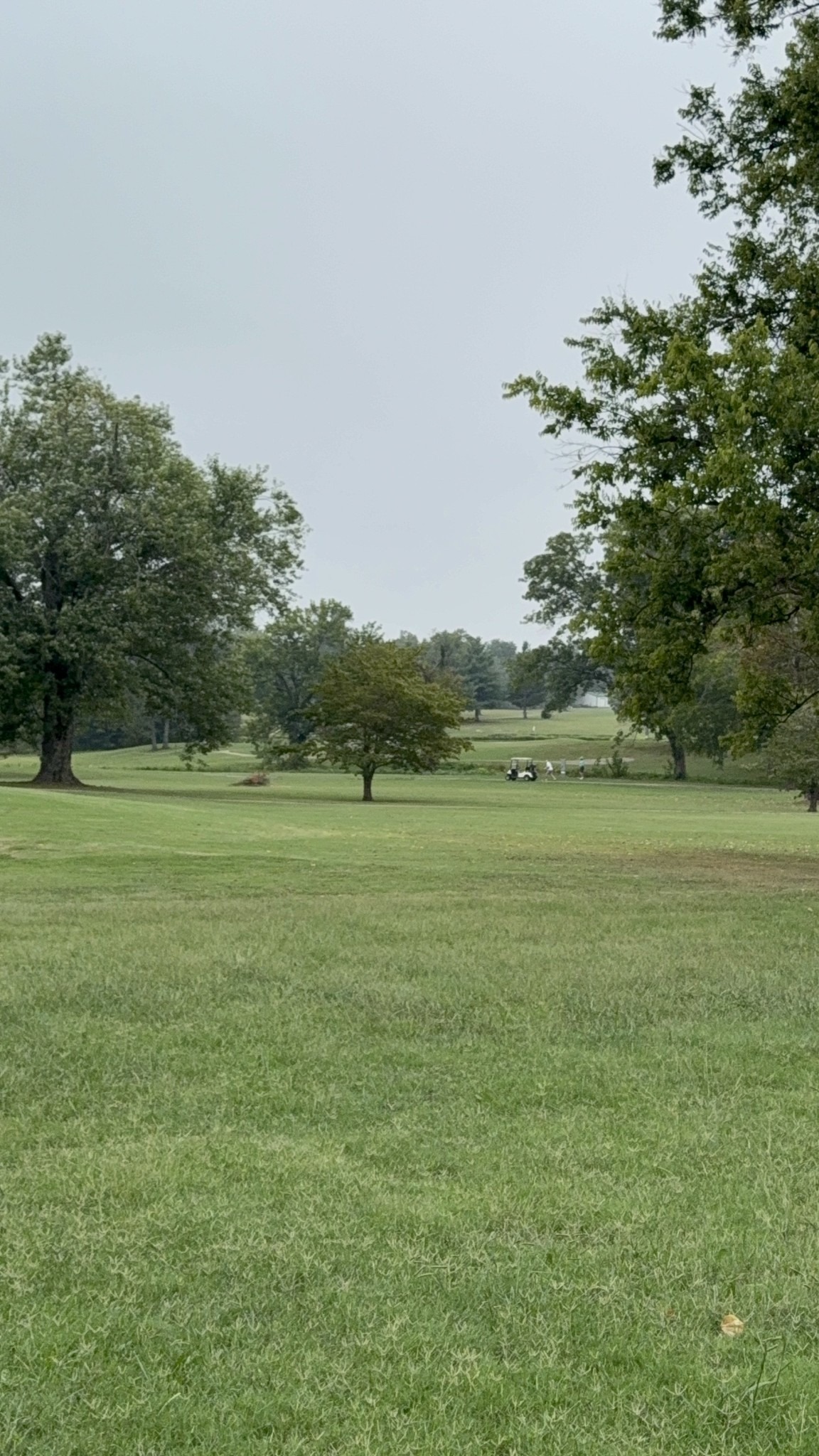 Golfers Cir, Portland, TN 37148