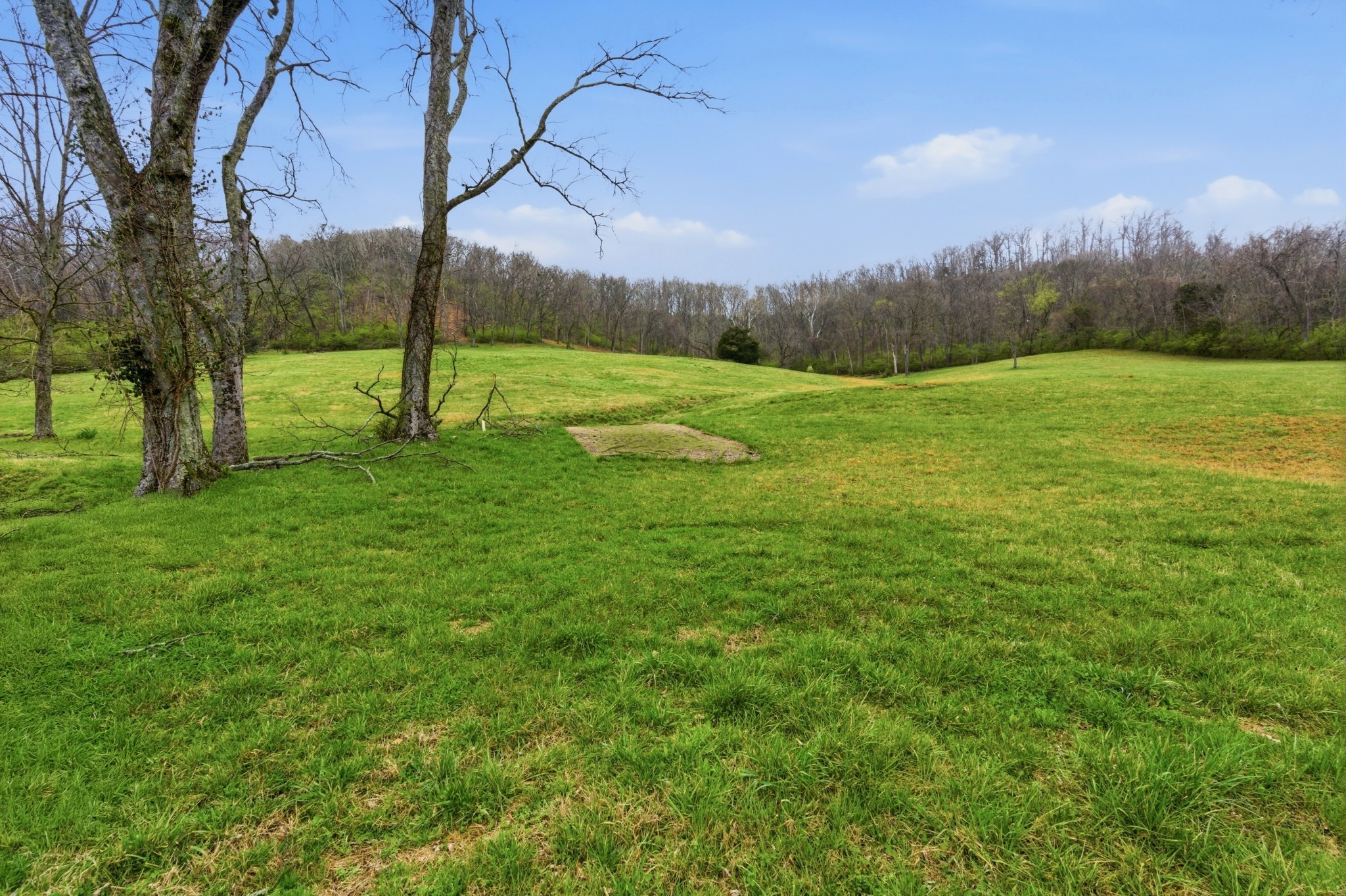 Franklin Rd, Brentwood, TN 37027 #1