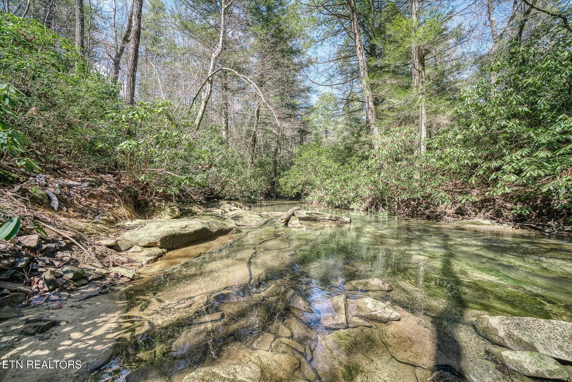 Laurel Way, Monterey, TN 38574 #1