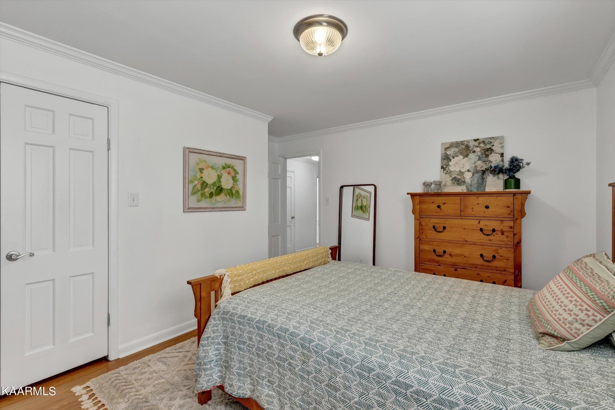 Pinellas Dr, Knoxville, TN 37919 #1