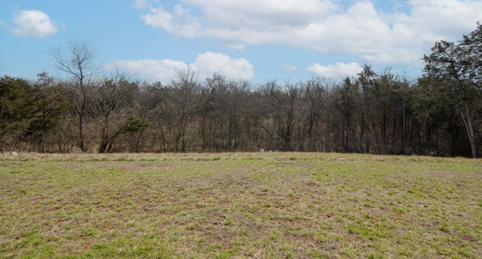 Dolly Way, Antioch, TN 37013 #1