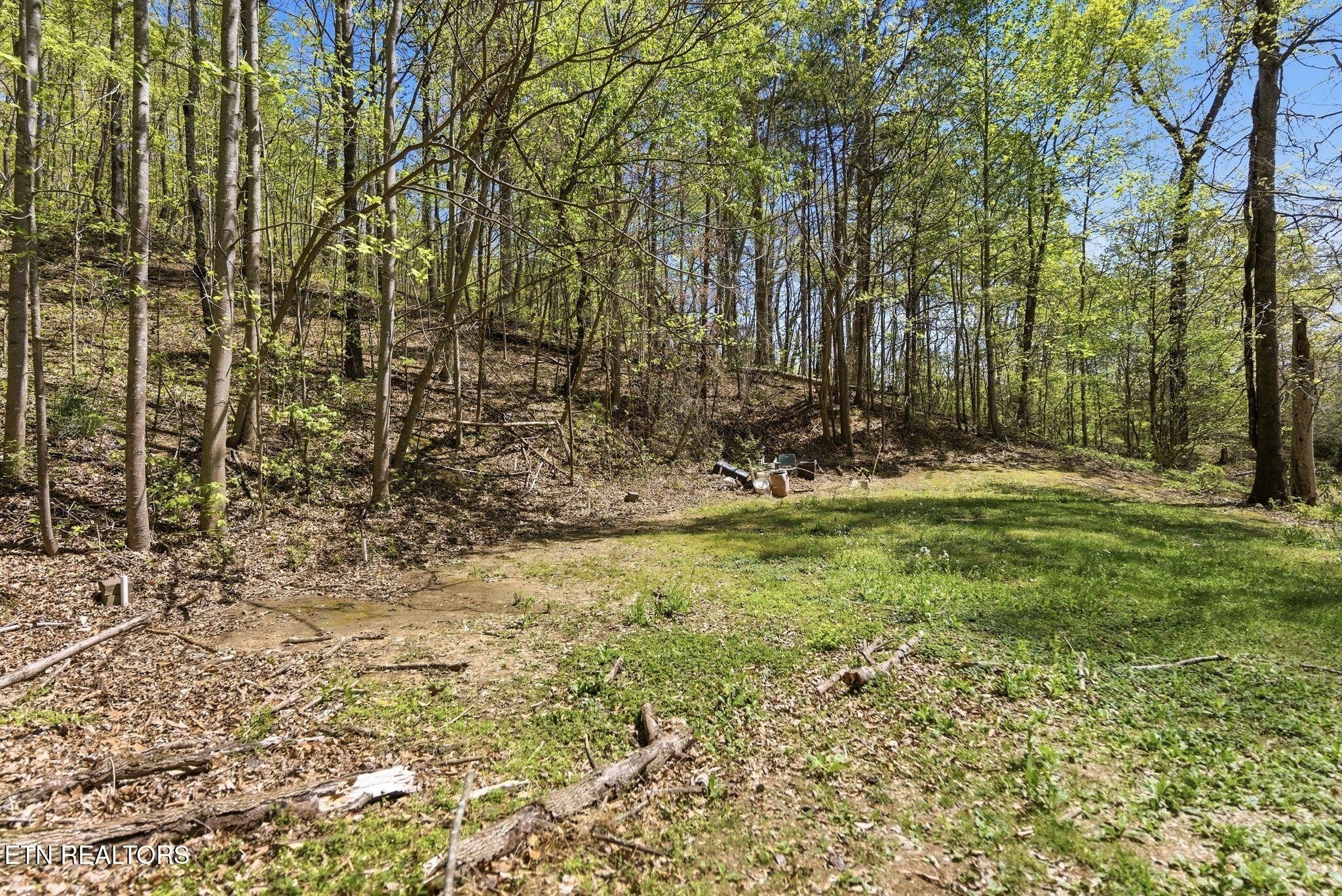 Ellistown Rd, Knoxville, TN 37924