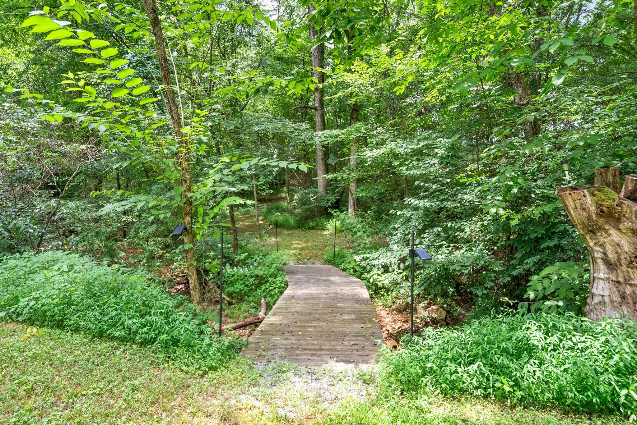 Abednego Rd, Coopertown, TN 37073