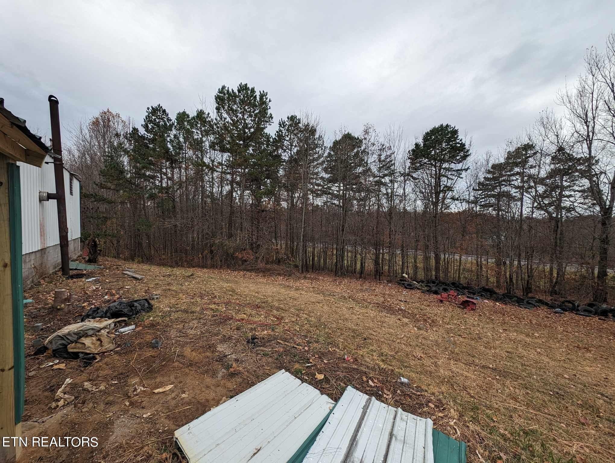 Billy Ridge Rd, Jamestown, TN 38556 #1