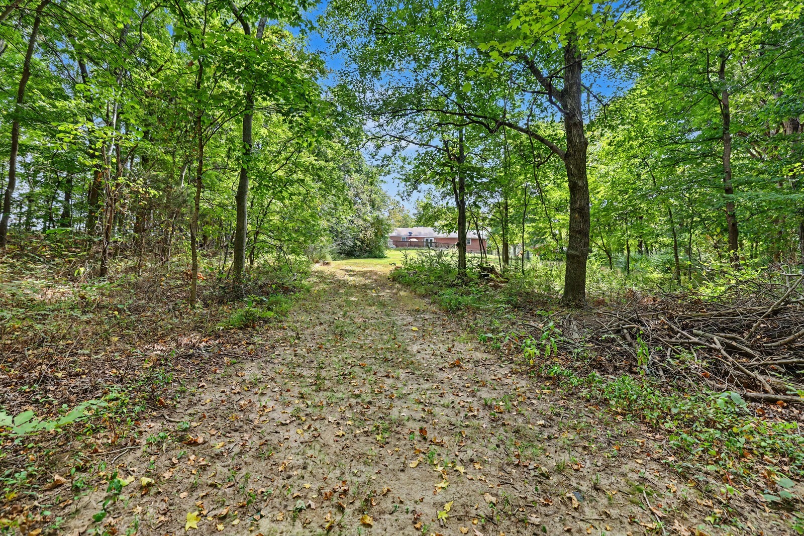Charlie Read Rd, Chapmansboro, TN 37035