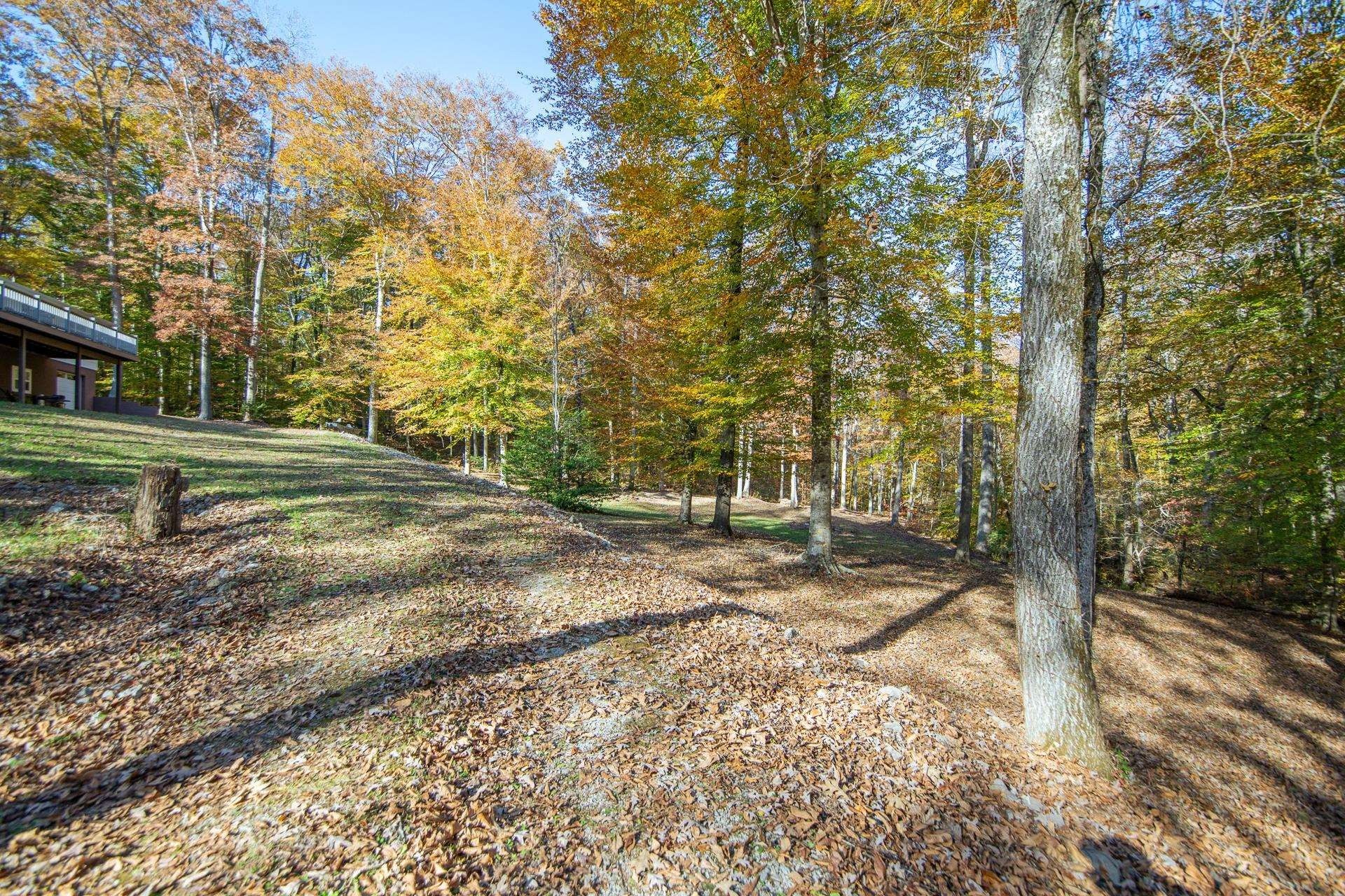 Keazey Hollow Rd, Waynesboro, TN 38485 #1