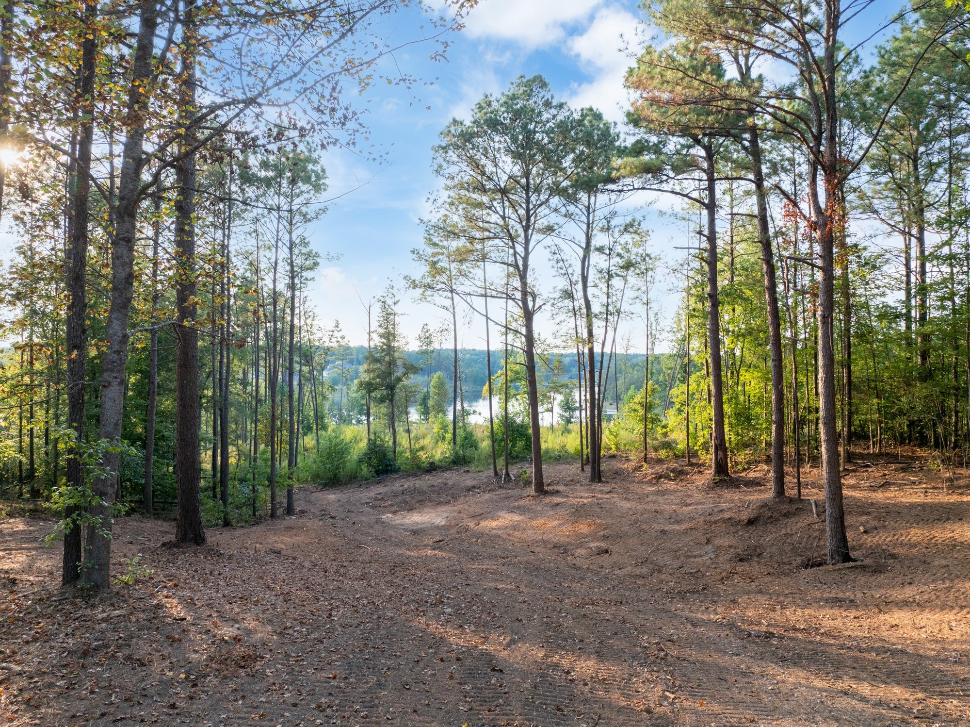 Kyle Rd, Huntingdon, TN 38344