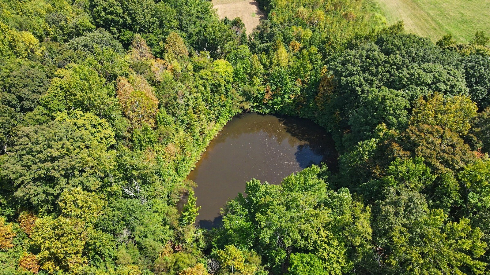 Charlie Read Rd, Chapmansboro, TN 37035 #1