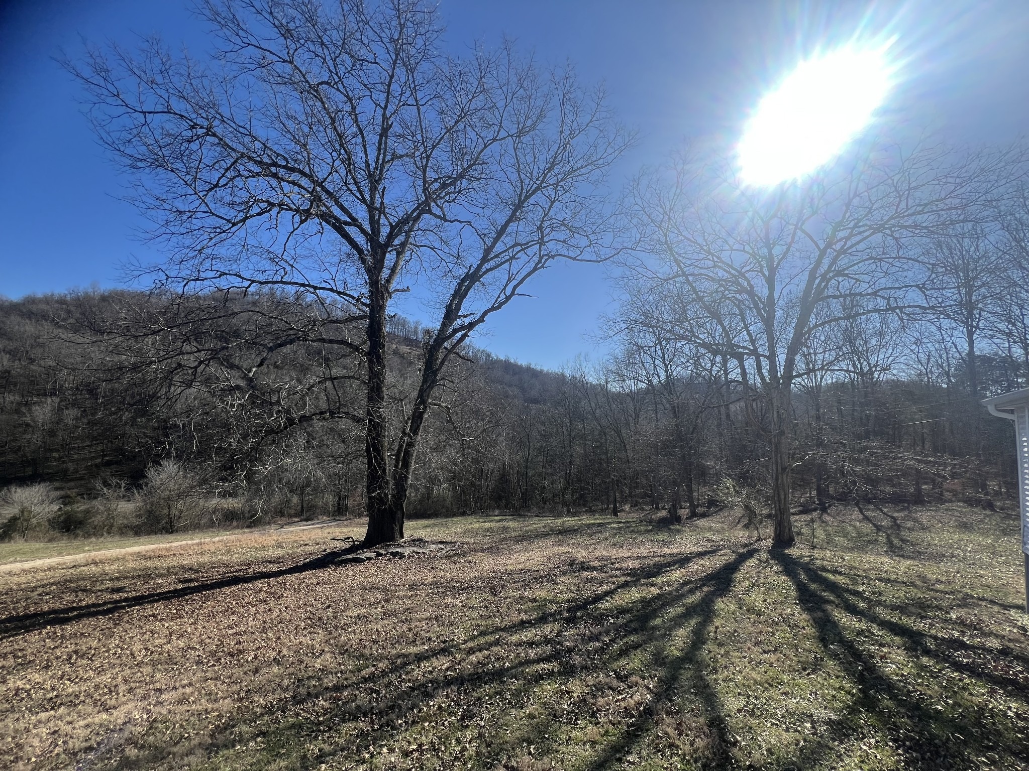 Club Springs Rd, Buffalo Valley, TN 38548 #1