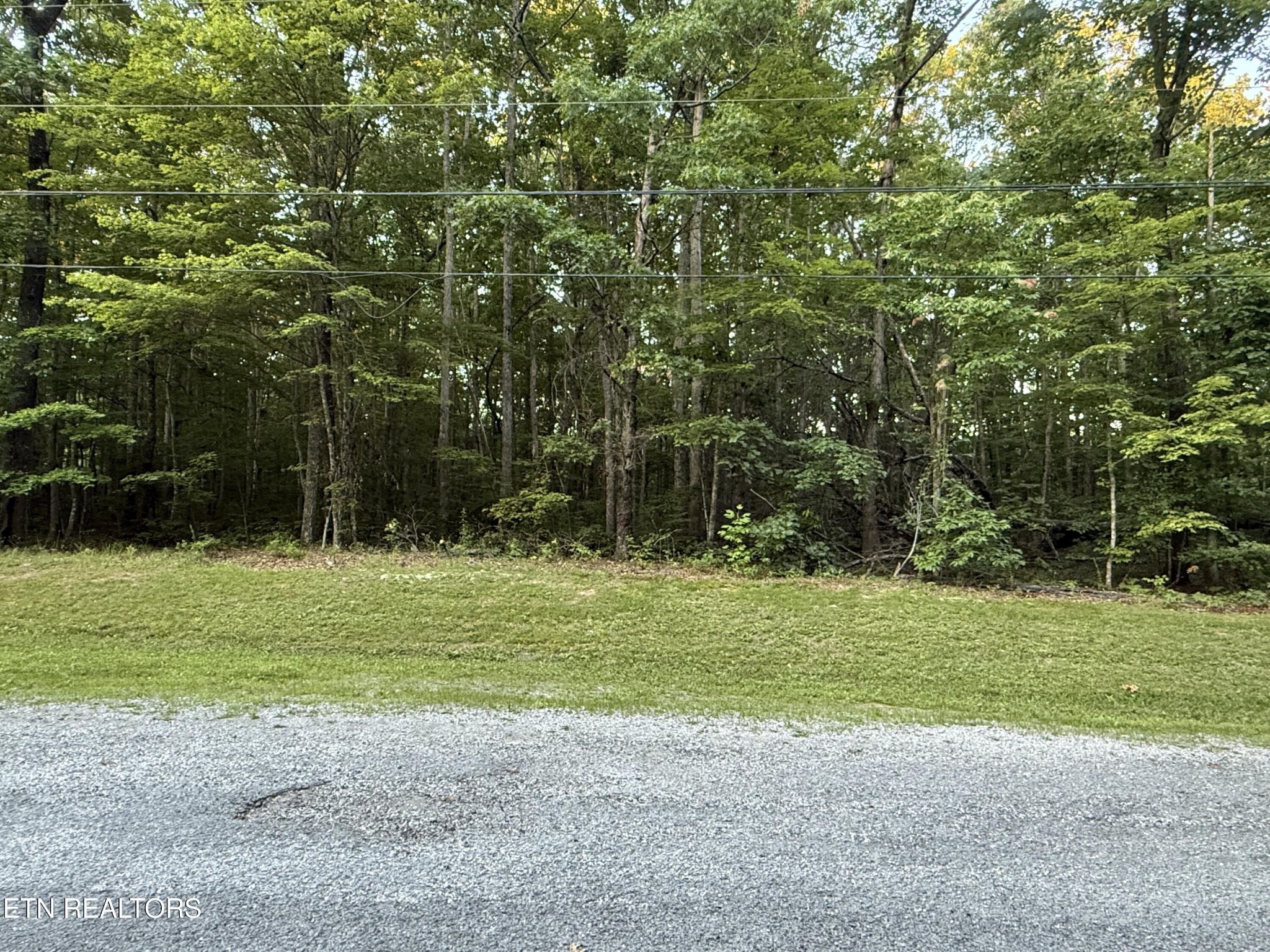 Clyde Pl, Monterey, TN 38574 #1