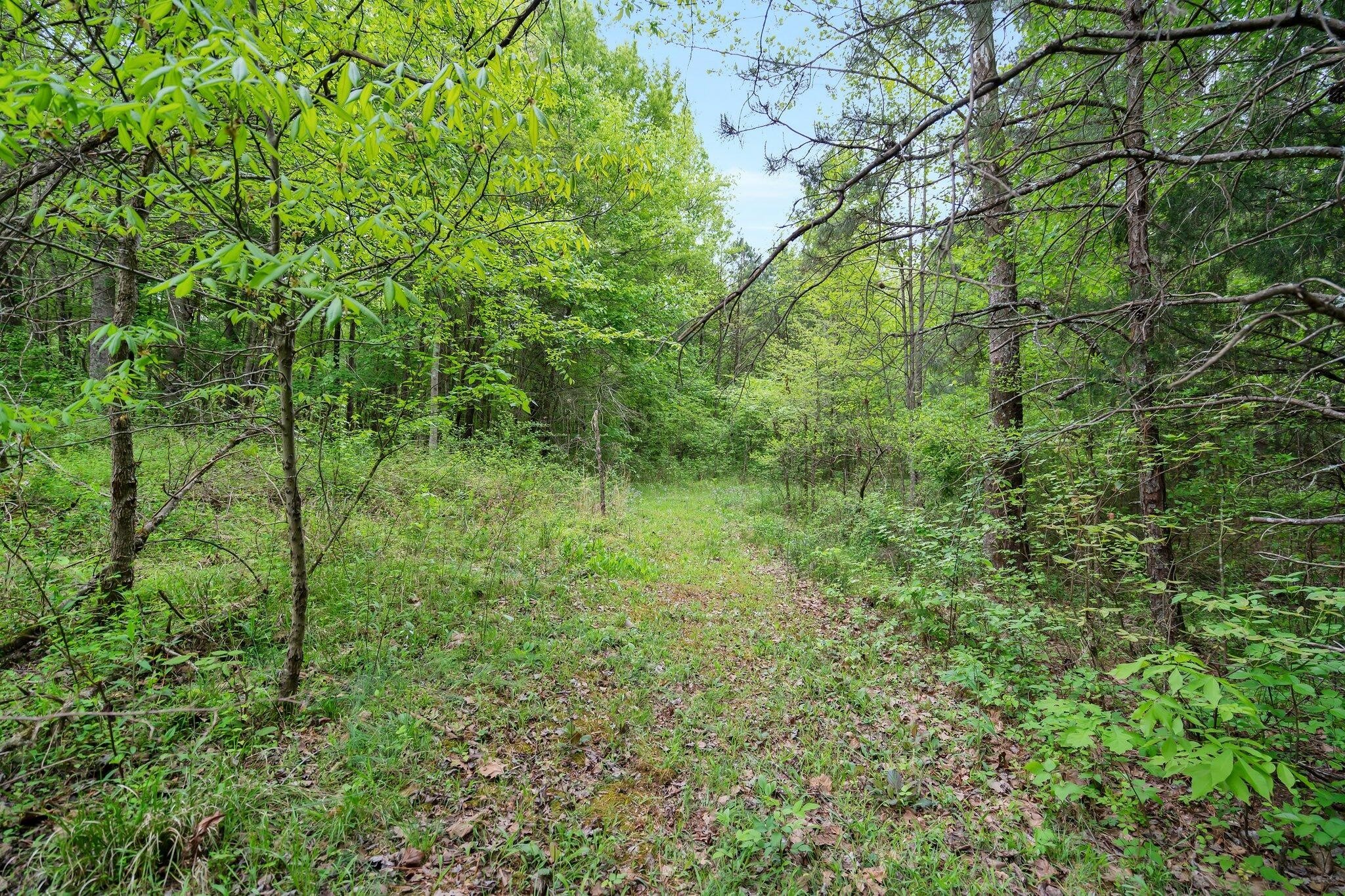 Turner Ln, Cleveland, TN 37323