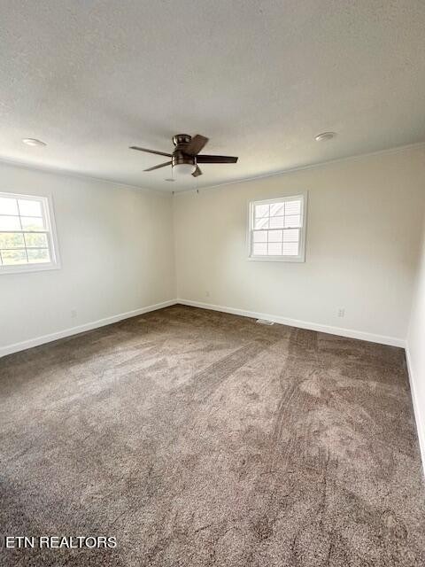 South Dr, Cookeville, TN 38501 #1