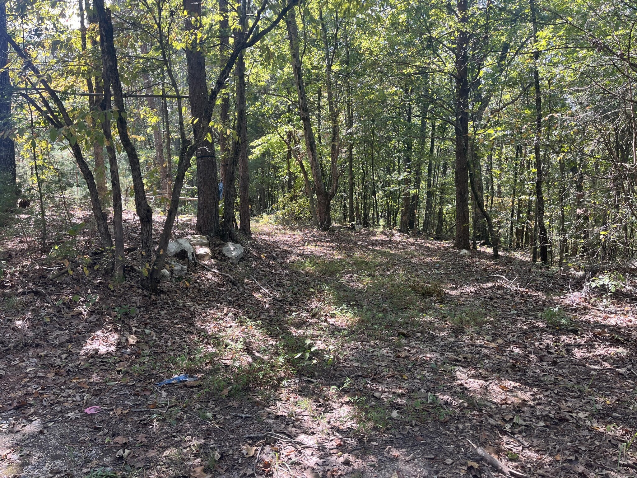 Davis Rd, Rocky Face, GA 30740
