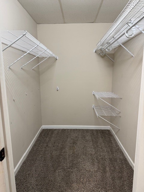 Bevard Rd, Clarksville, TN 37042 #1