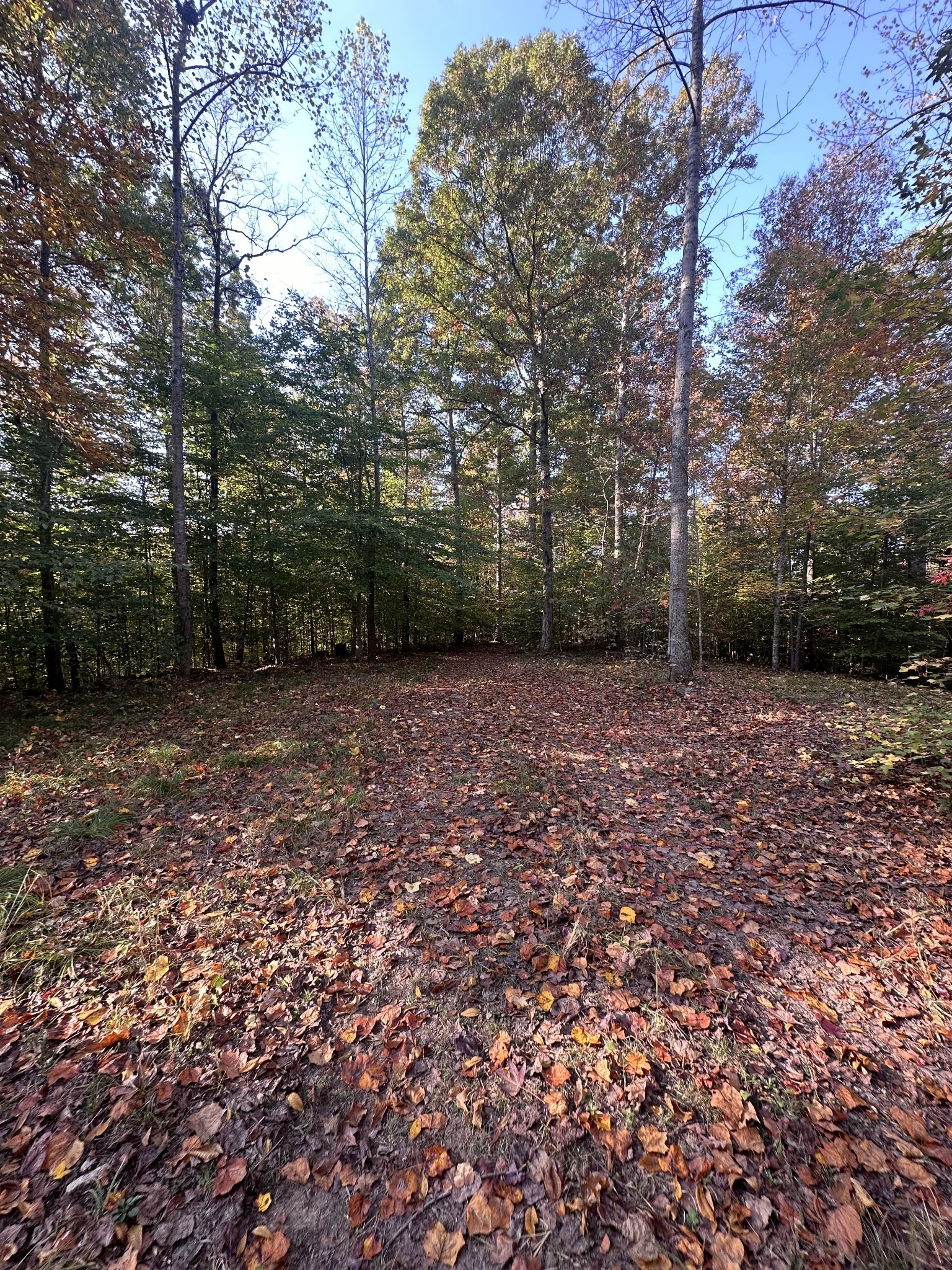 Craft Rd, Joelton, TN 37080