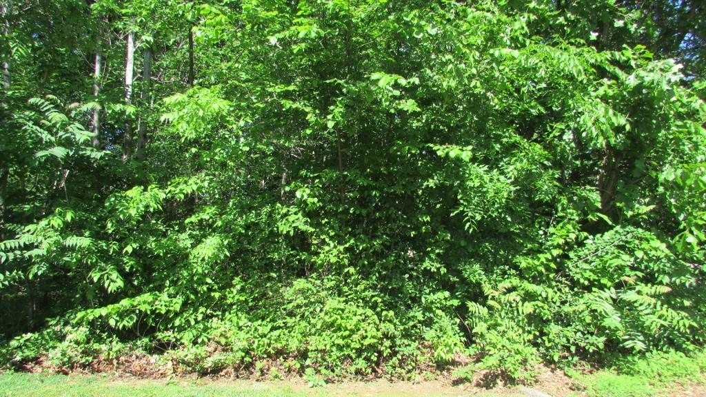 Emerald Ave, Seymour, TN 37865 #1
