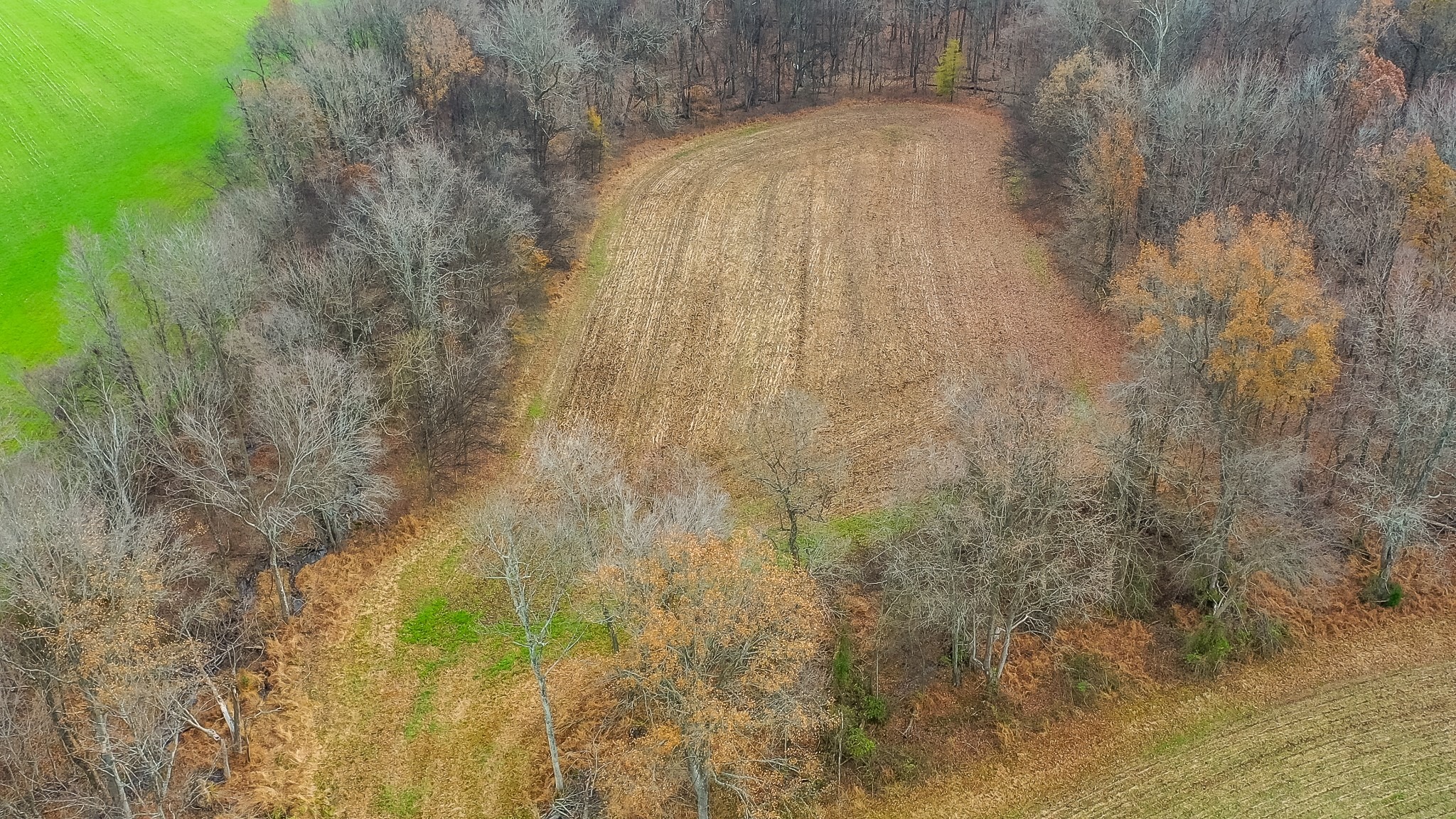 Port Royal Rd, Clarksville, TN 37040 #1