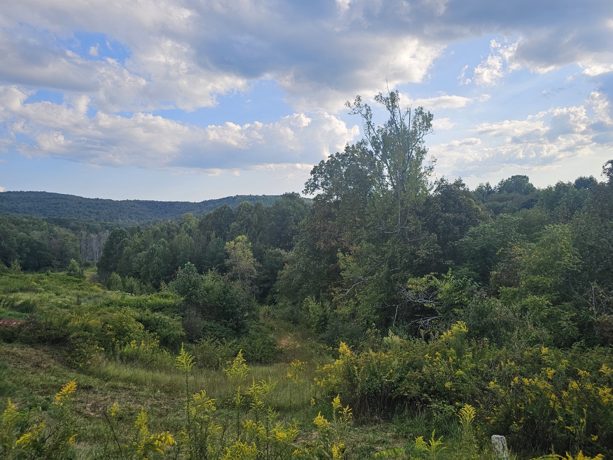 Rock Ave, Palmer, TN 37365