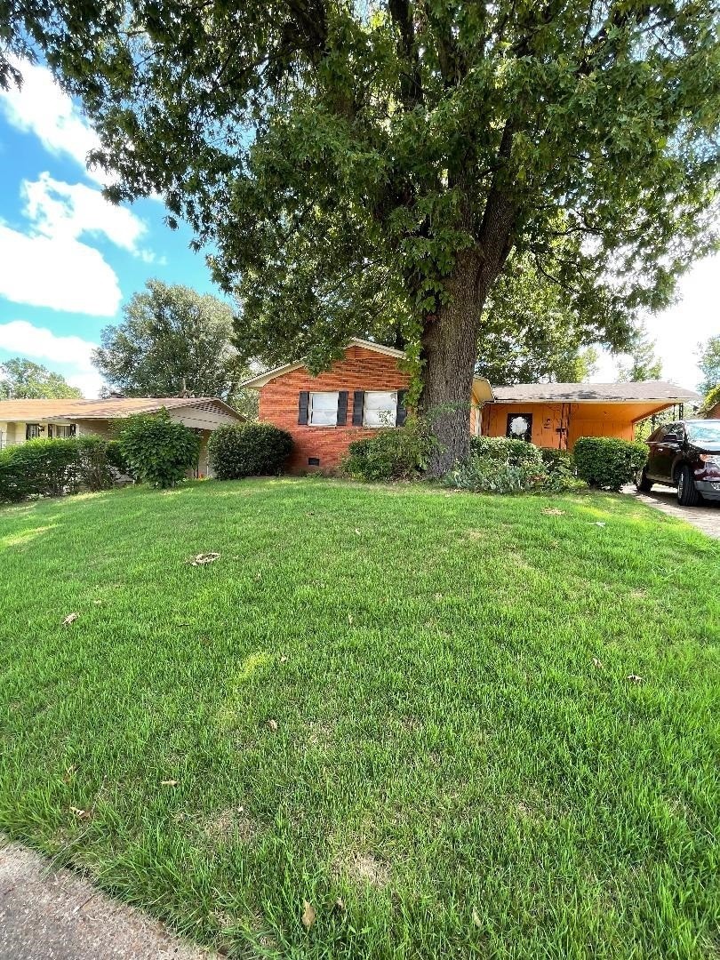 Alida Ave, Memphis, TN 38106