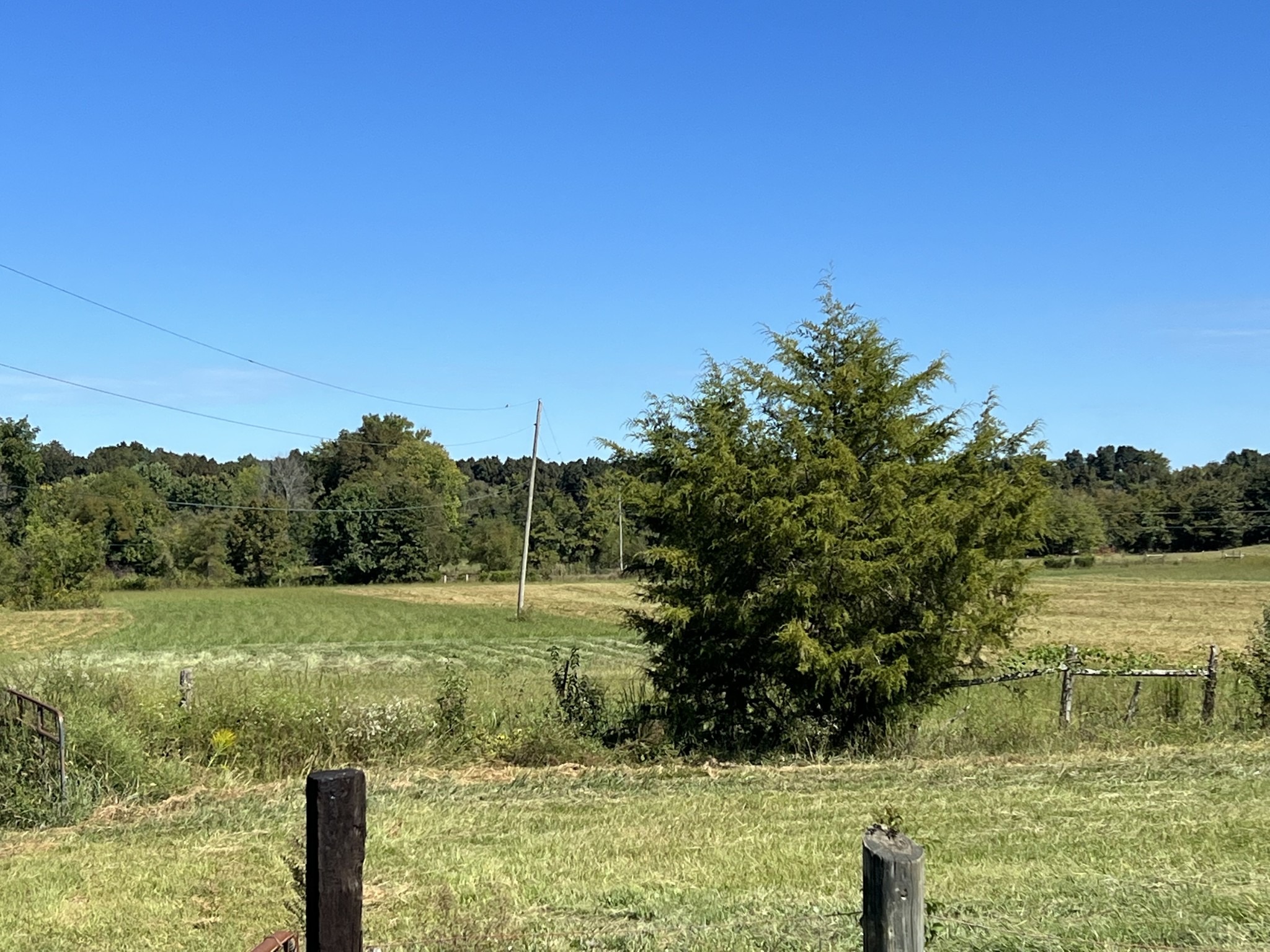 John Shaw Rd, Lewisburg, TN 37091 #1