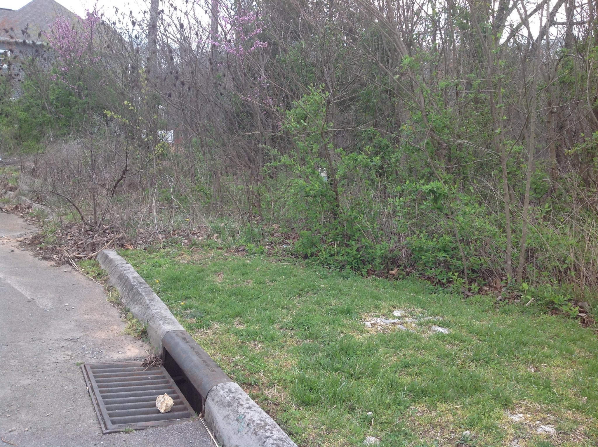 Long Shadow Way, Knoxville, TN 37918