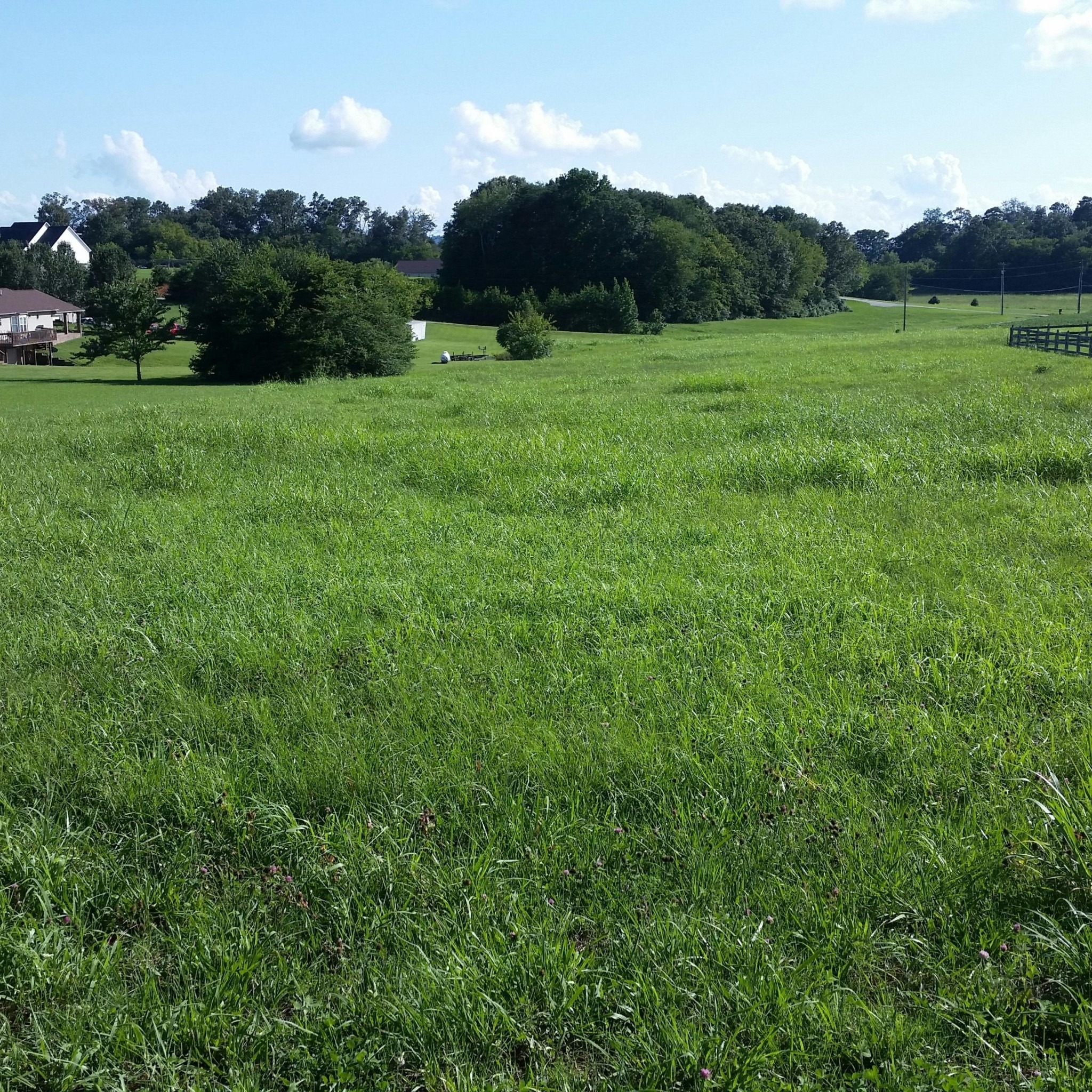 Disco Loop Rd, Friendsville, TN 37737