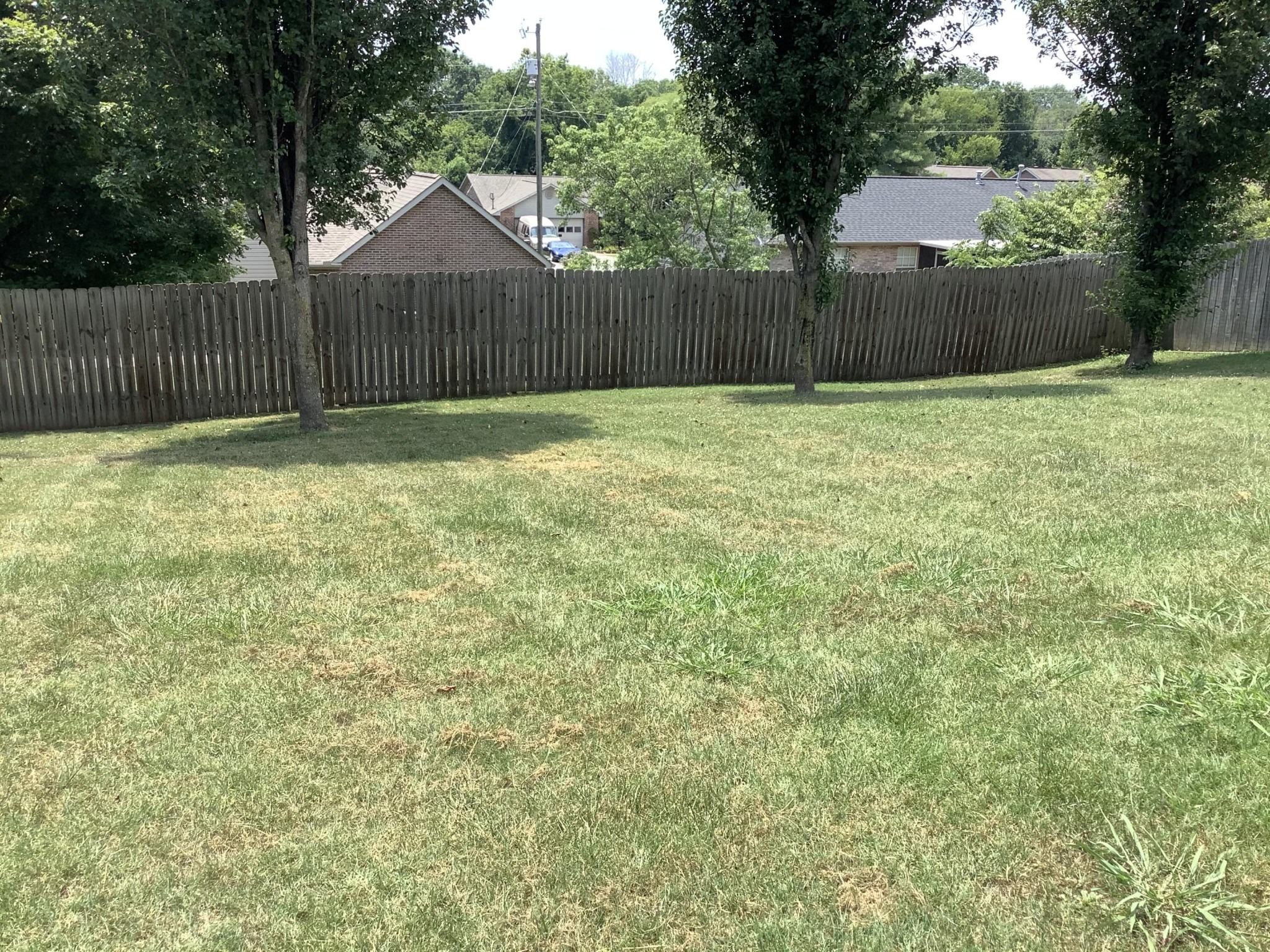 Palermo Rd, Knoxville, TN 37918 #1