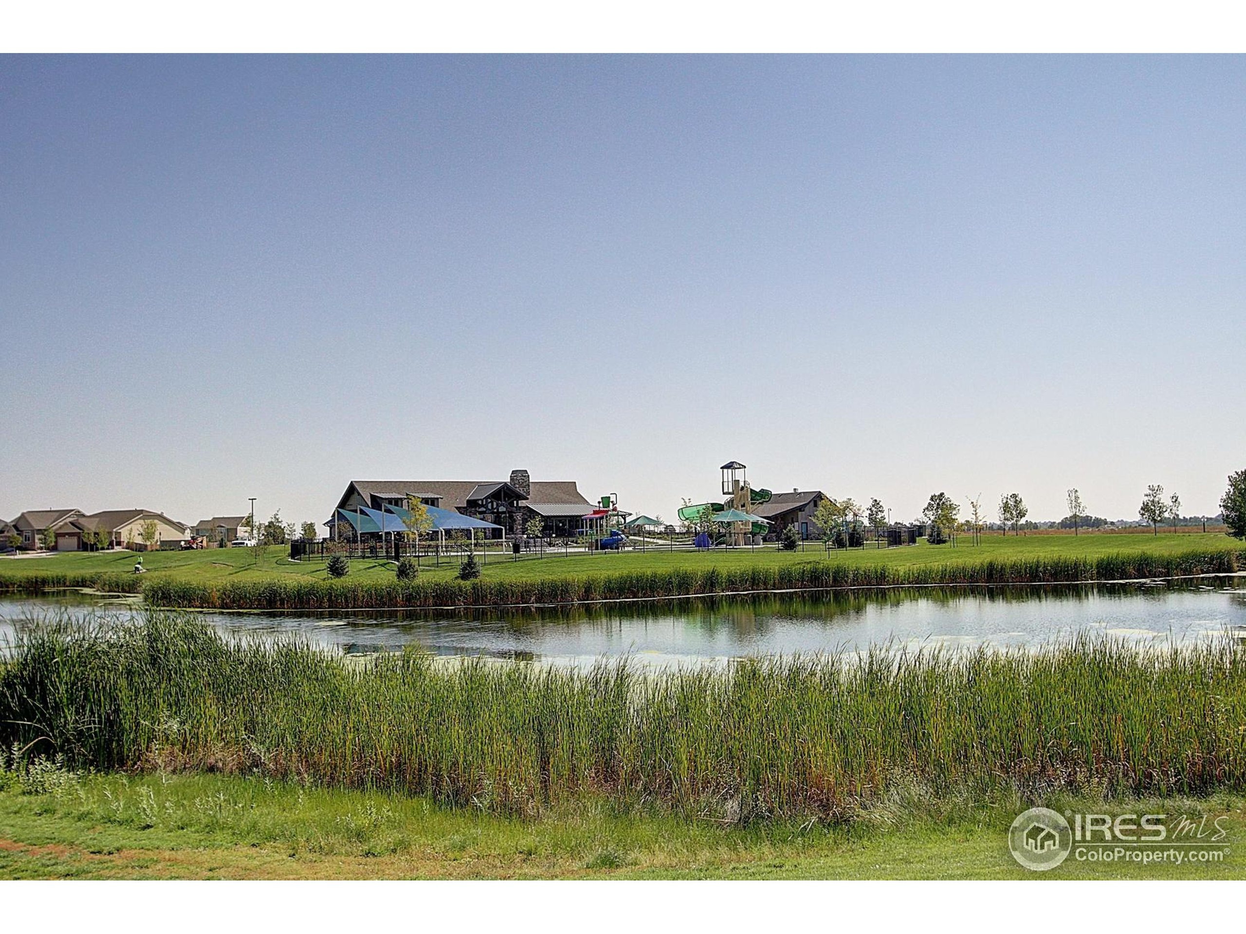 Story Rd, Timnath, CO 80547 #1