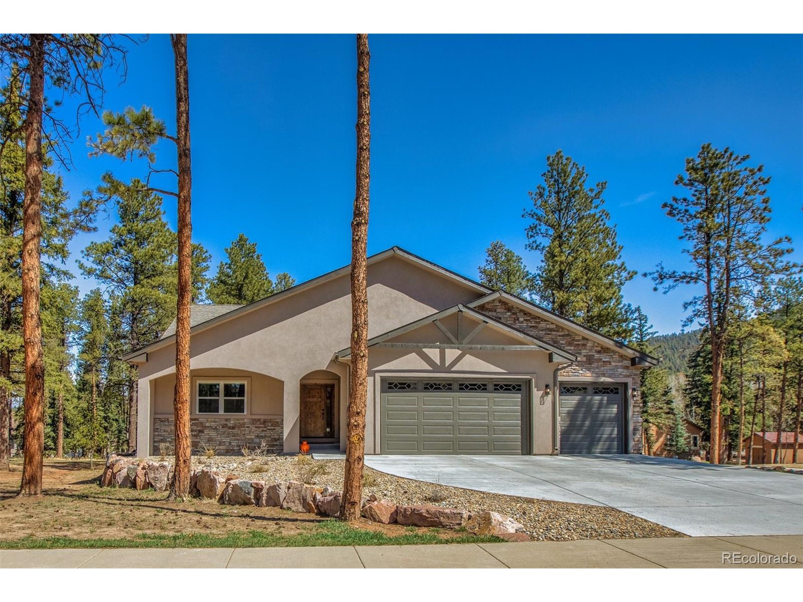 Meadowlark Ln, Woodland Park, CO 80863 #1