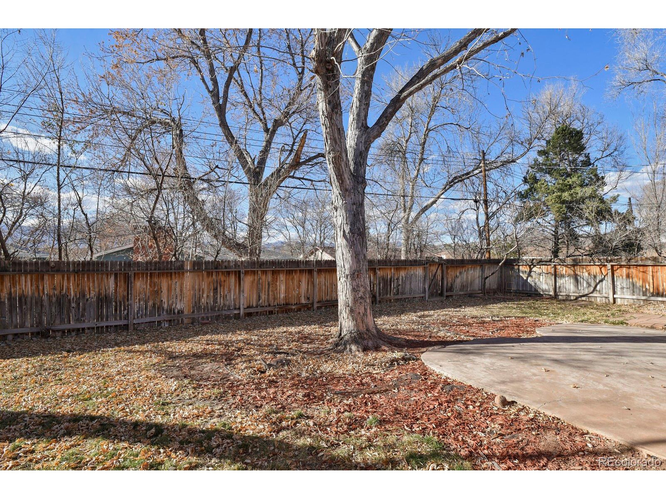 Auburn Dr, Colorado Springs, CO 80909 #1