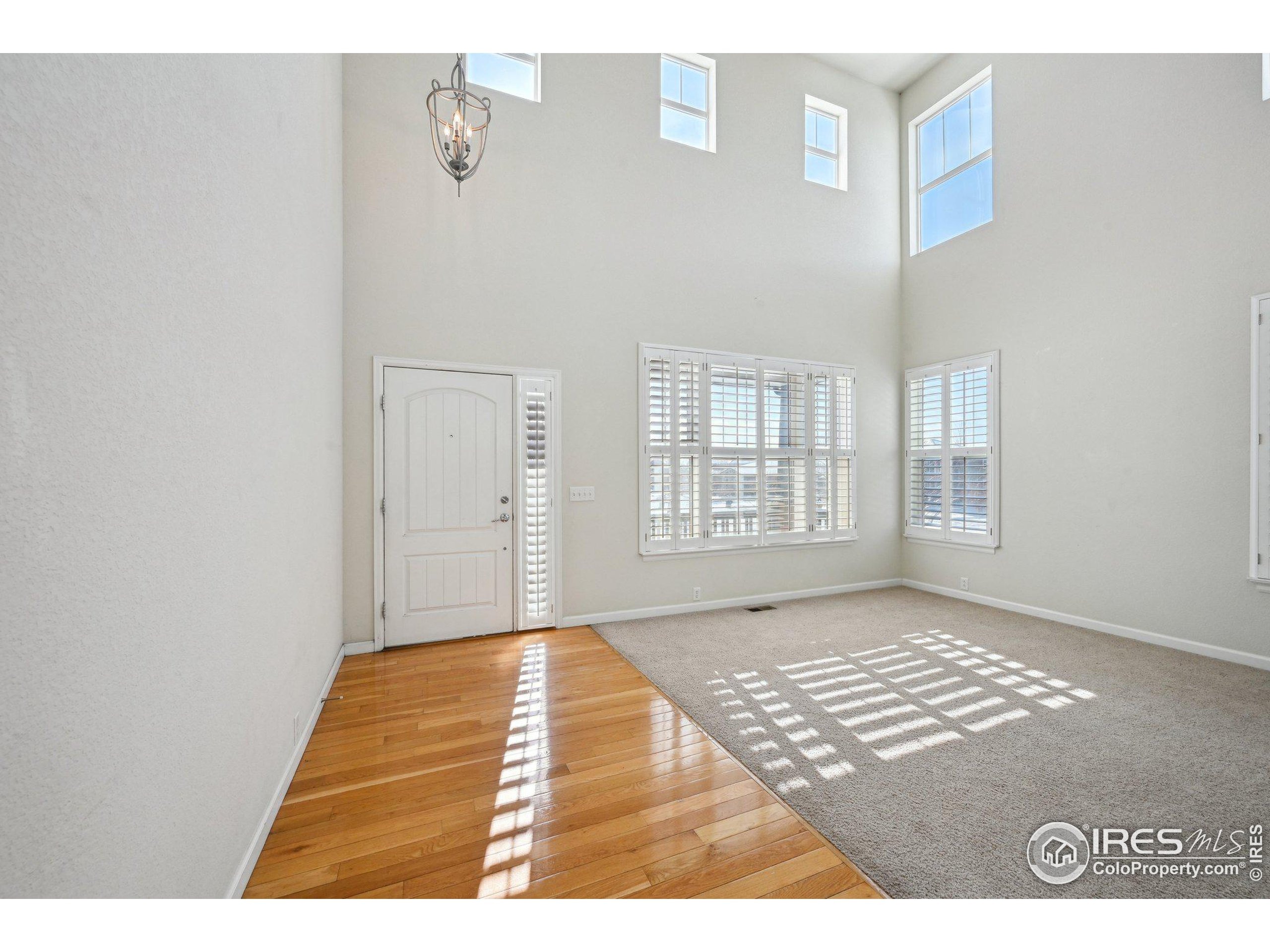 Vestal Loop, Broomfield, CO 80023 #1