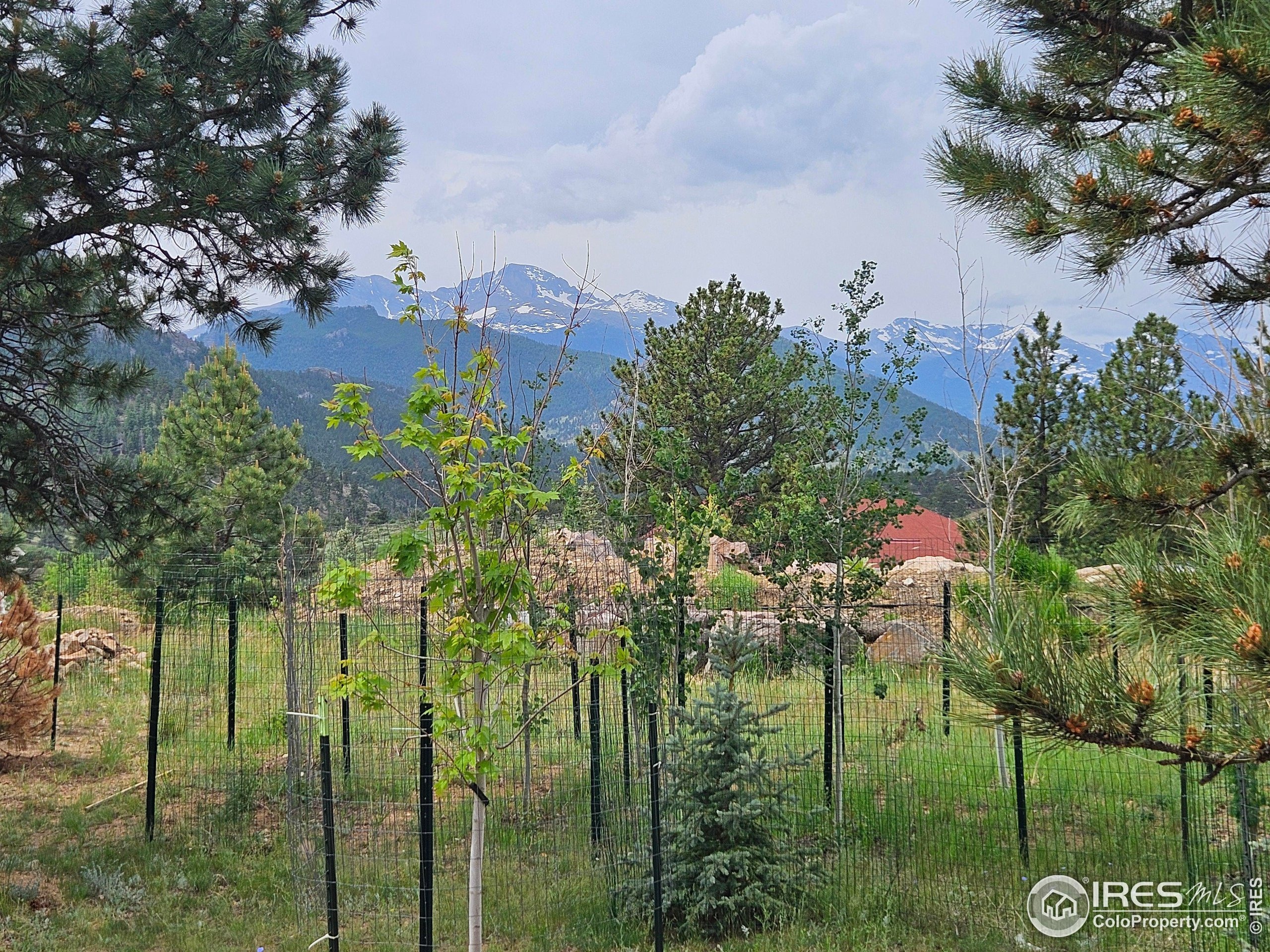 Findley Ct, Estes Park, CO 80517