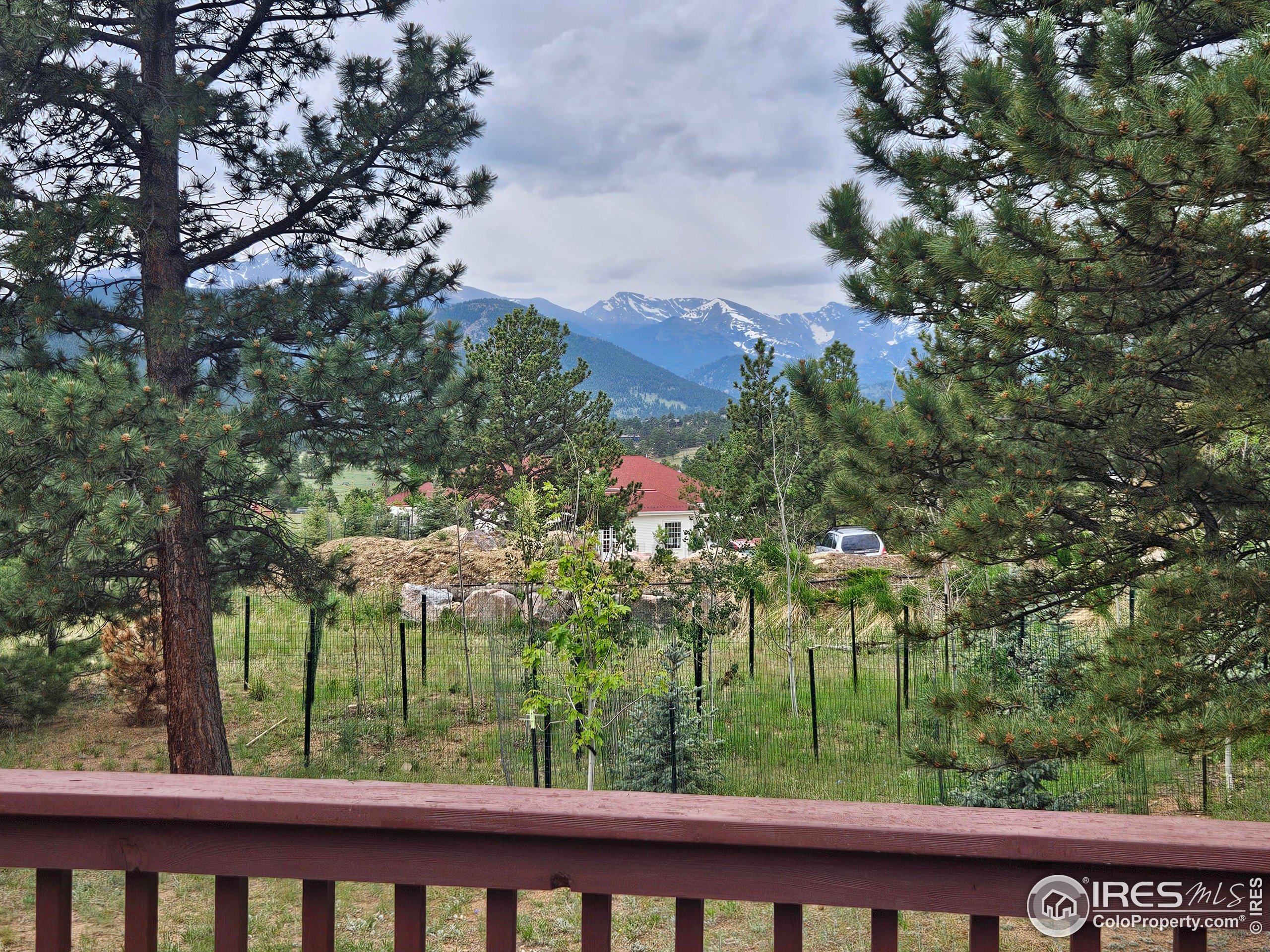 Findley Ct, Estes Park, CO 80517 #1