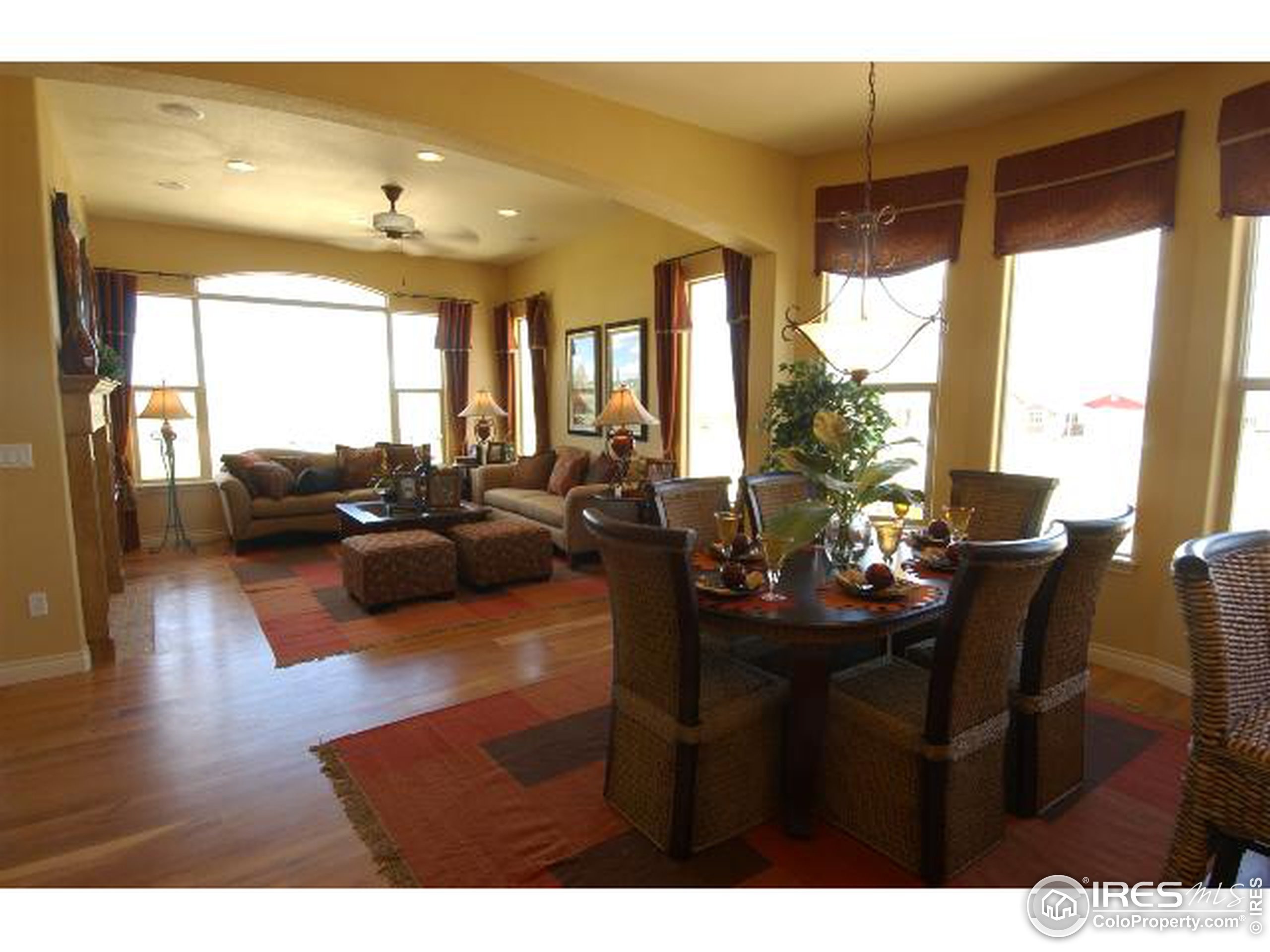 Apricot Dr, Loveland, CO 80538 #1