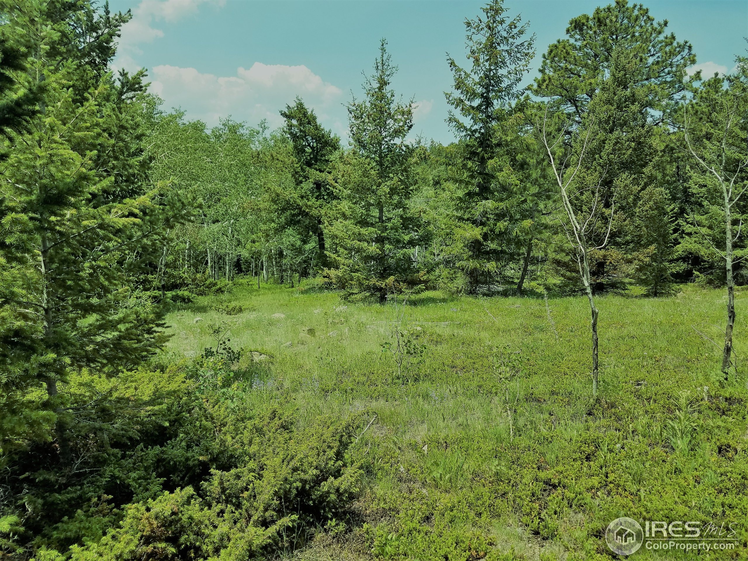 Magnolia Dr, Nederland, CO 80466 #1