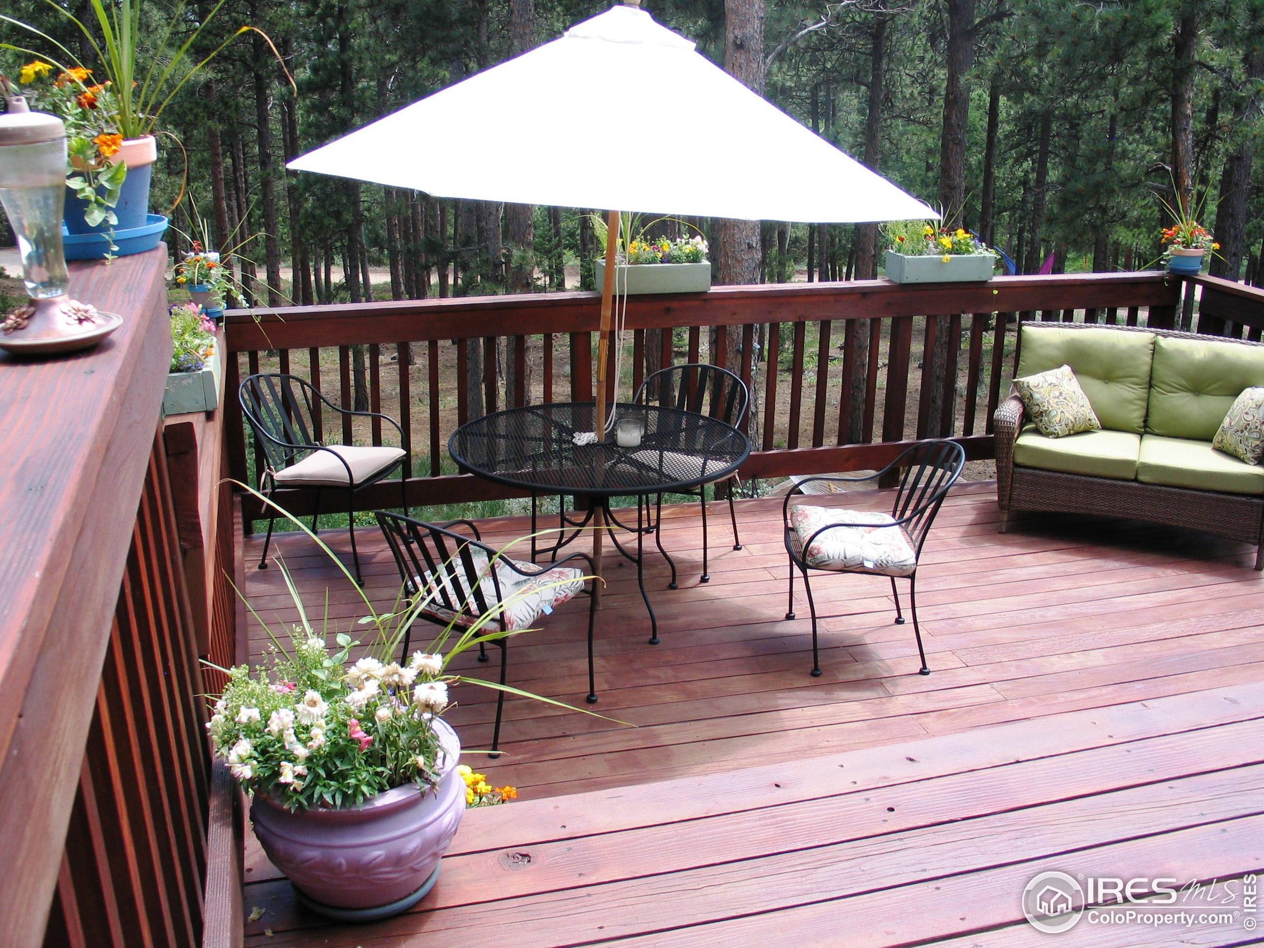 Bridger Trl, Ward, CO 80481 #1