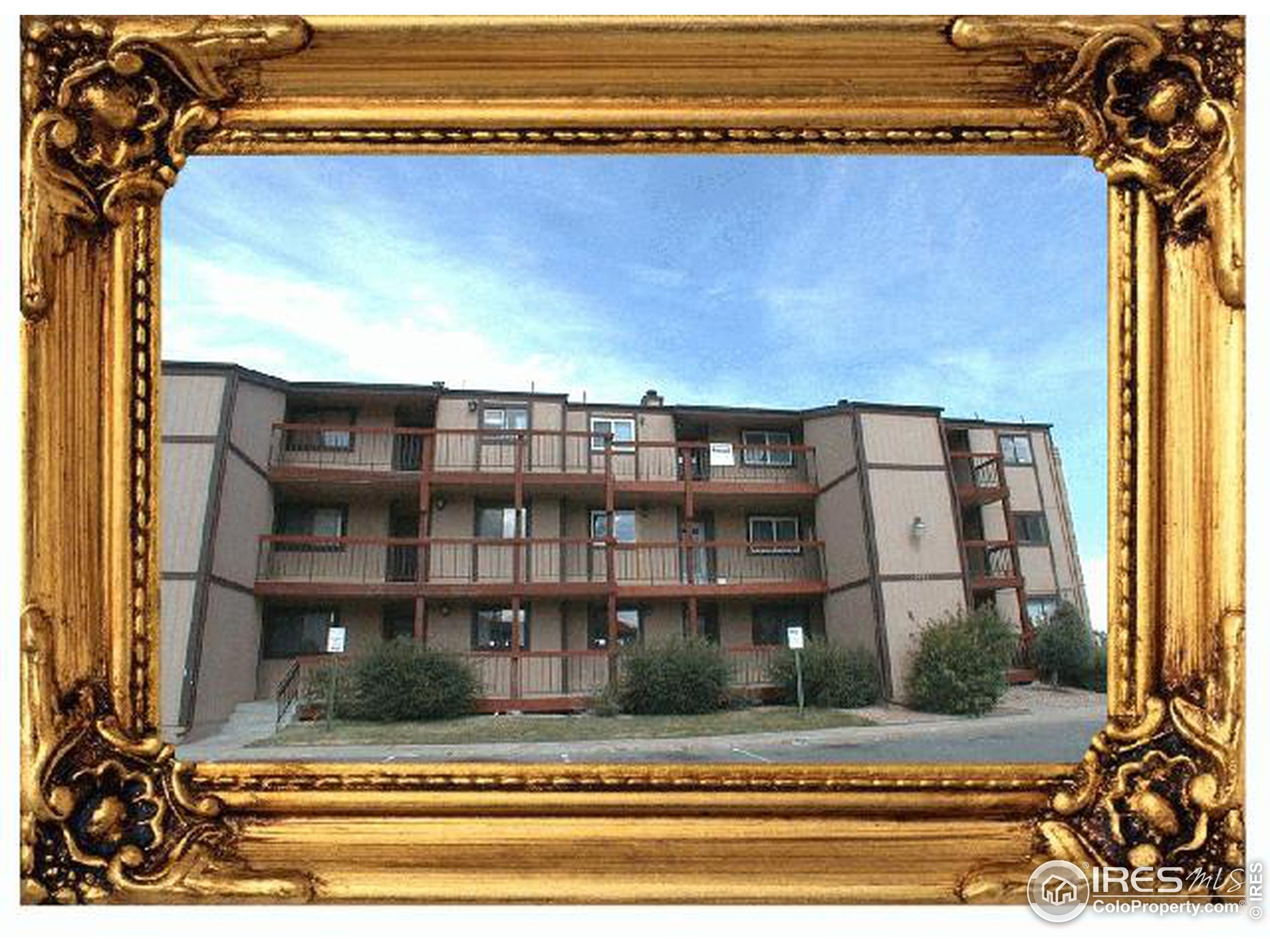 Clay St, Westminster, CO 80031 #1