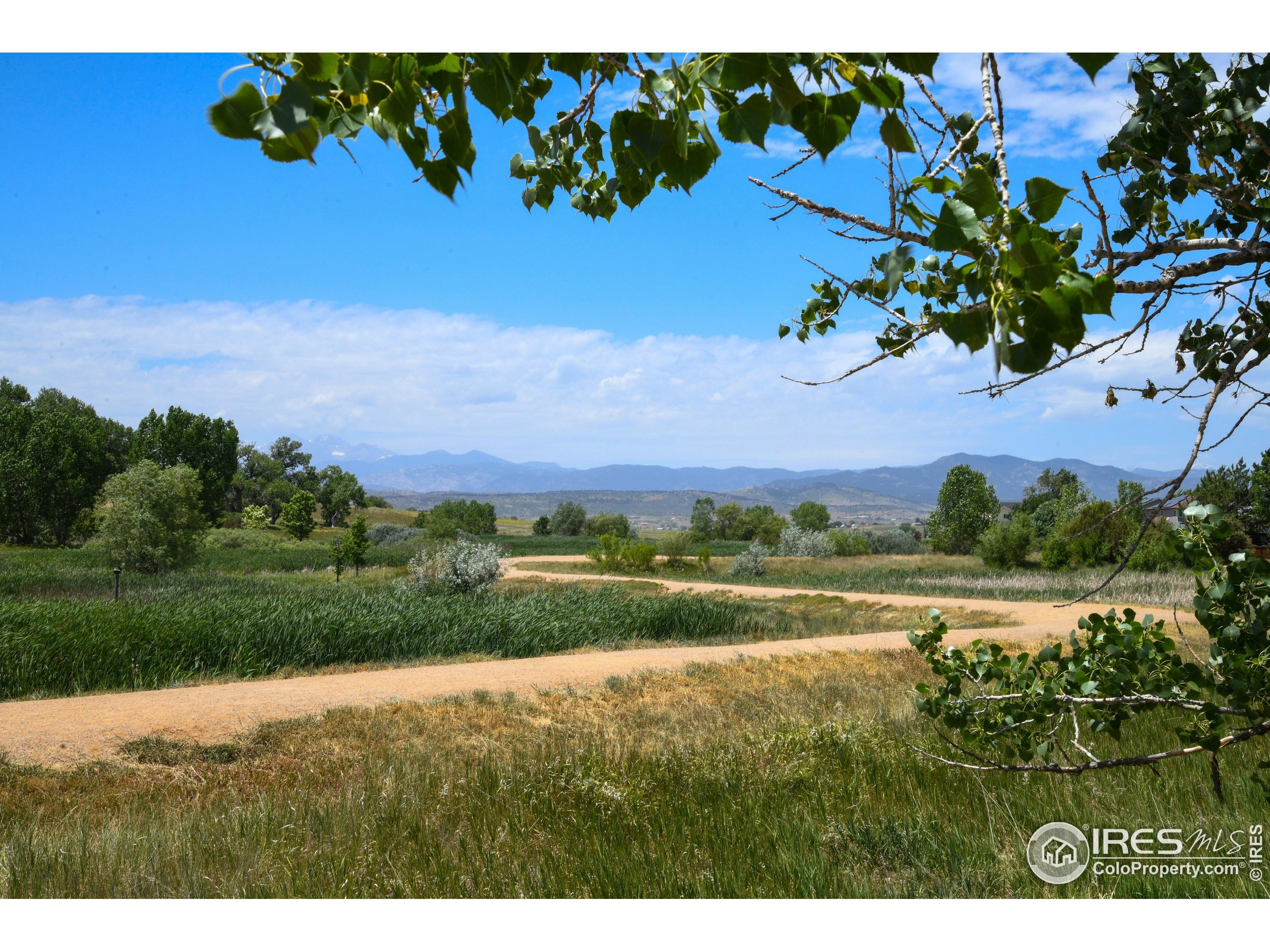 Canyonlands St, Berthoud, CO 80513 #1