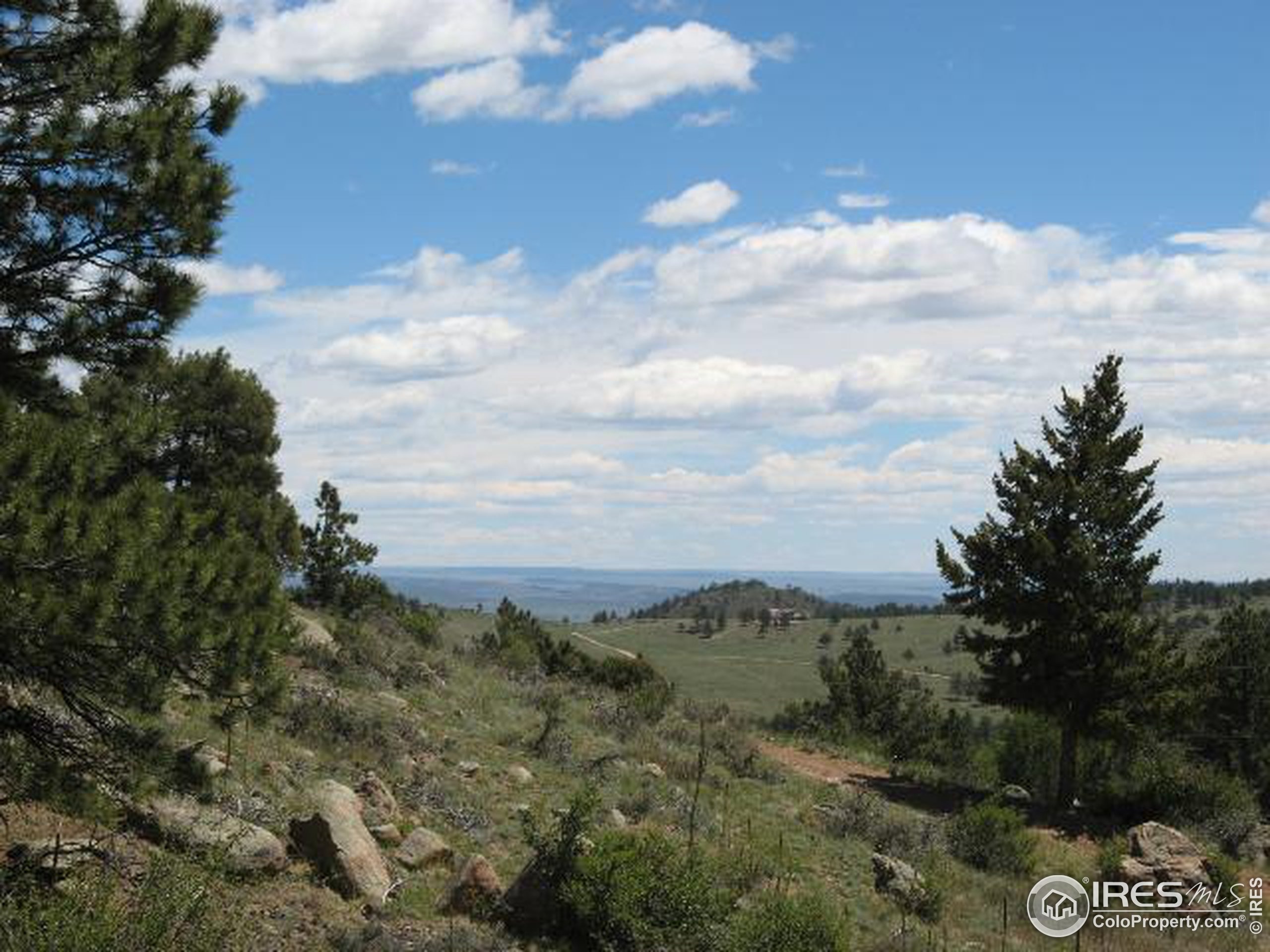 Bald Mountain Dr, Livermore, CO 80536
