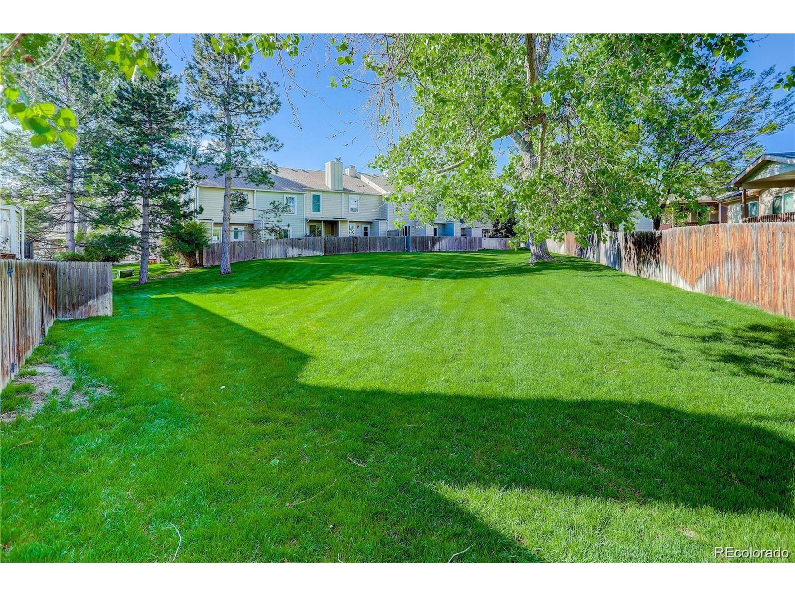 Coal Mine Ave, Littleton, CO 80123 #1