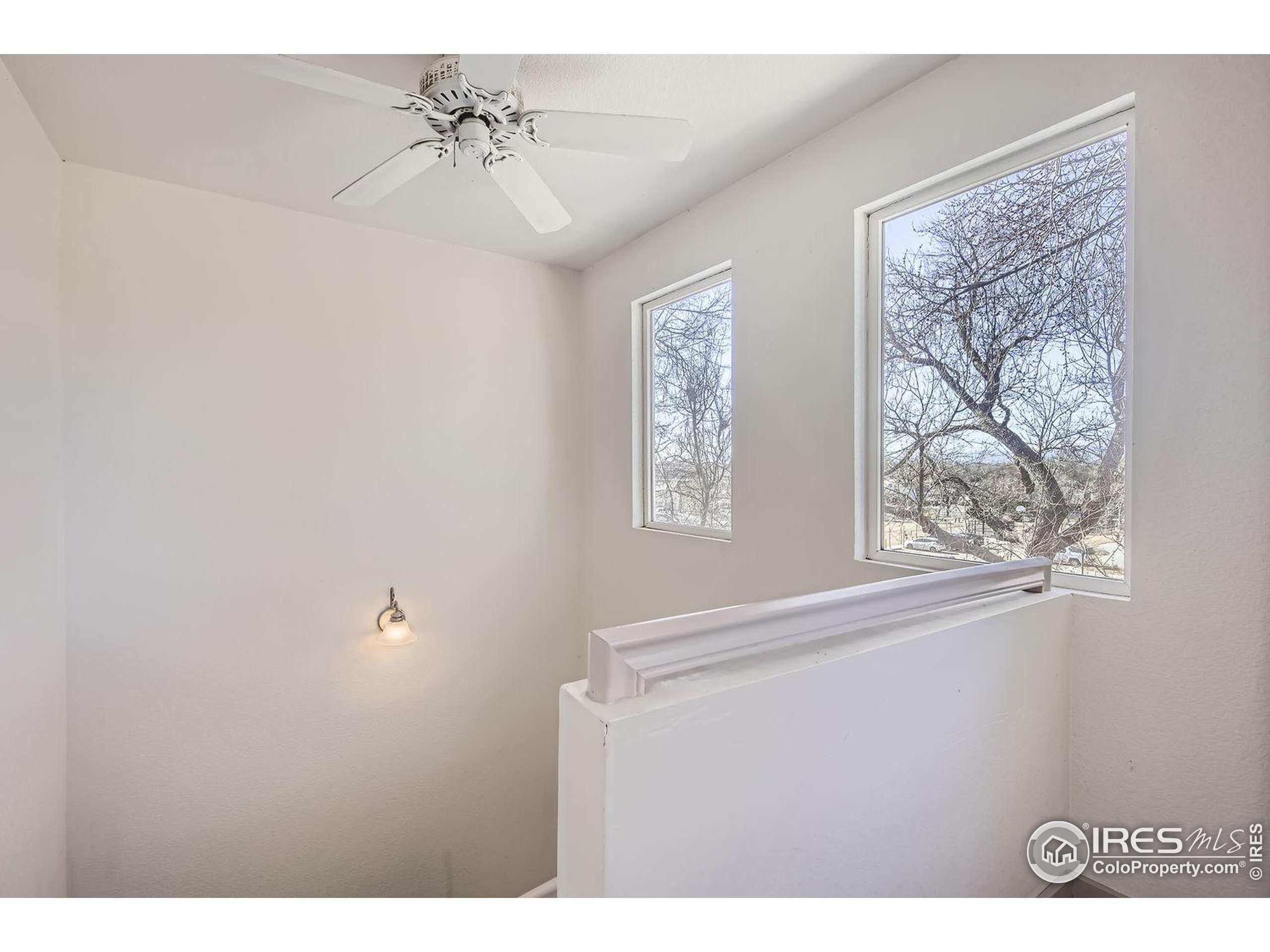 Kimbark St, Longmont, CO 80501 #1