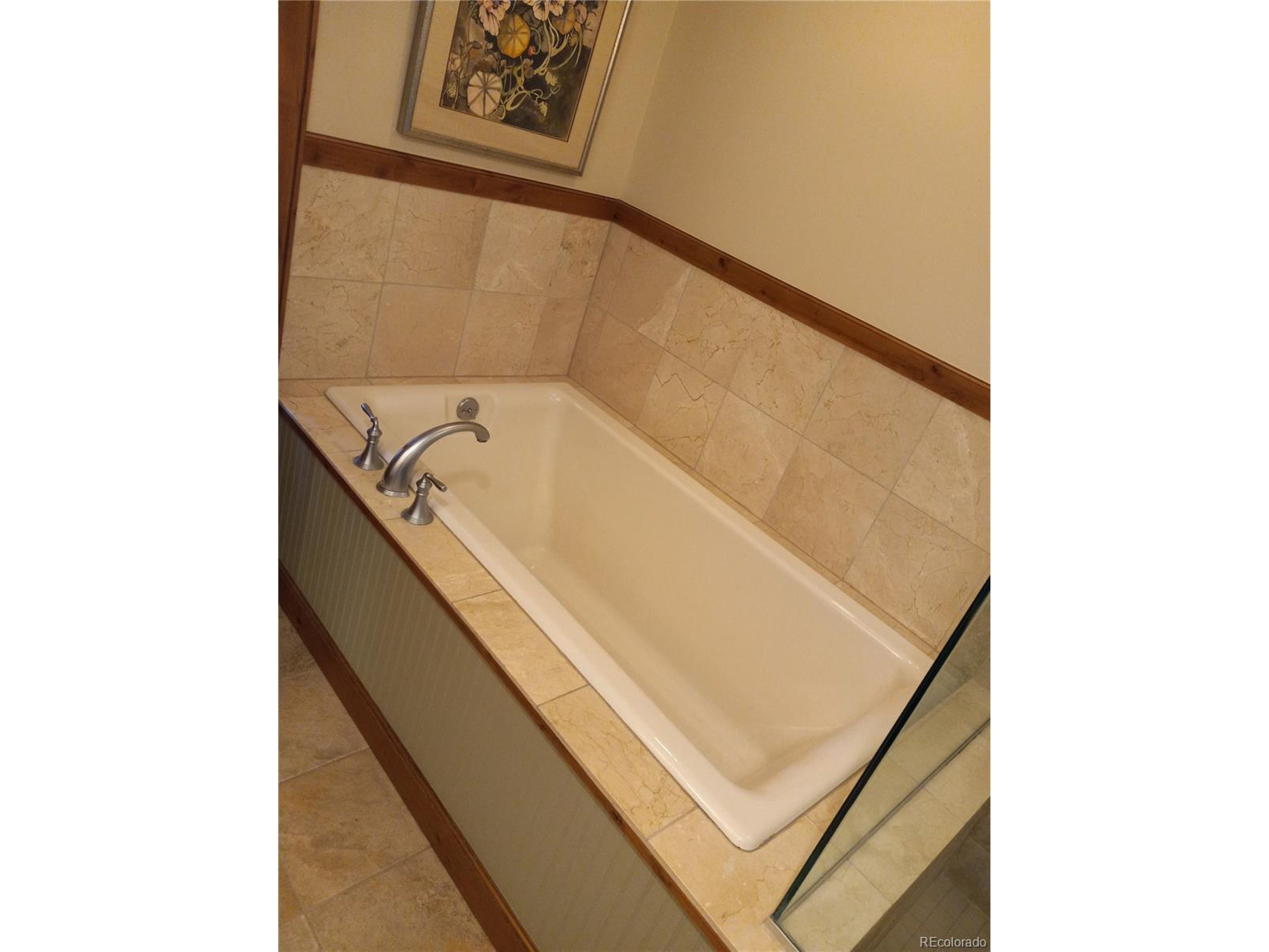 Gothic Rd, Crested Butte, CO 81225 #1