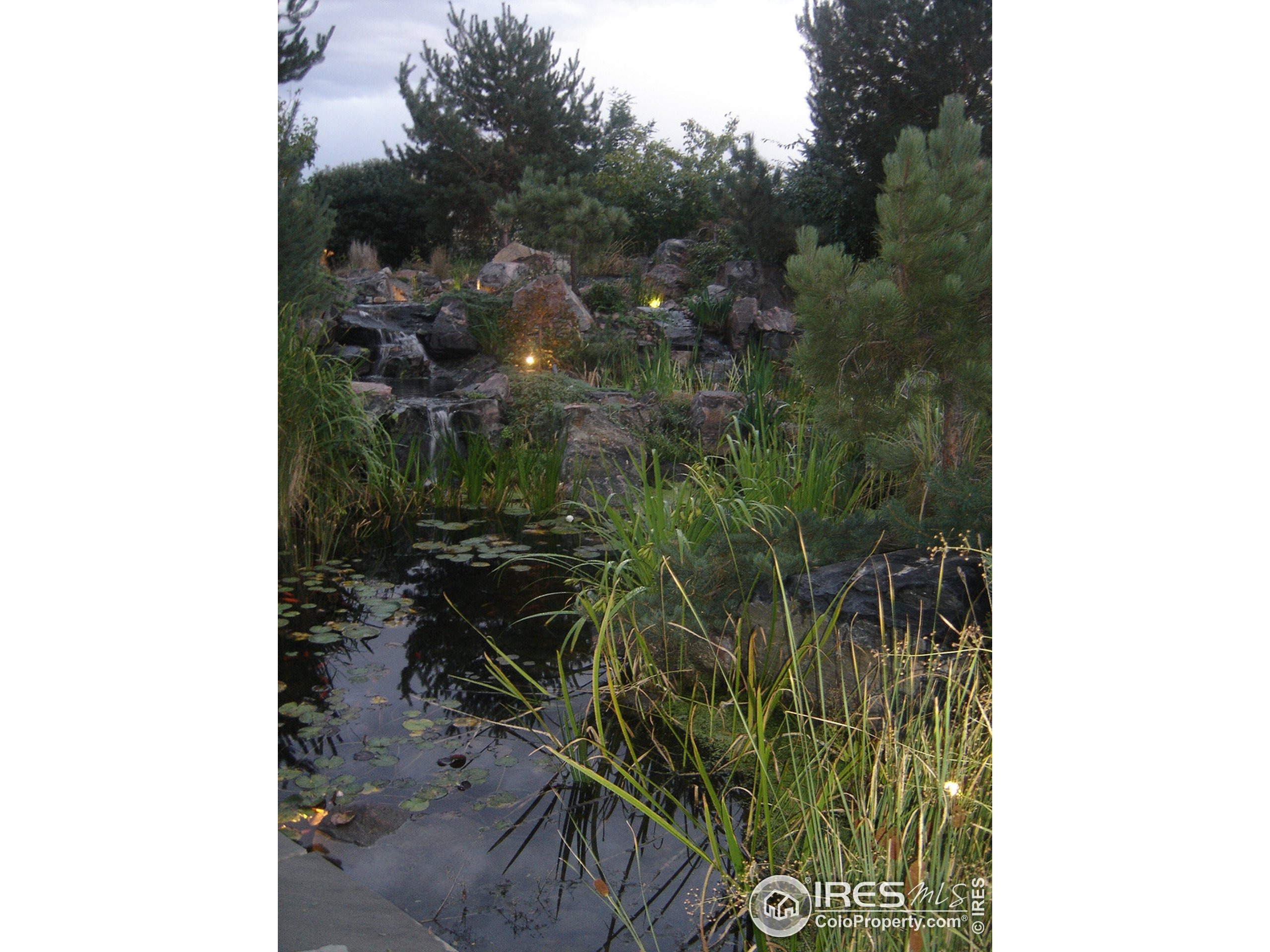 Strawberry Ln, Niwot, CO 80503 #1
